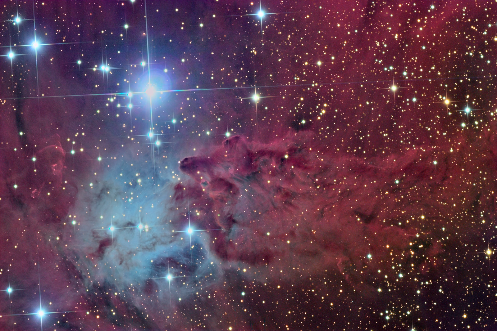 APOD: 2005 March 14 – The Fox Fur Nebula