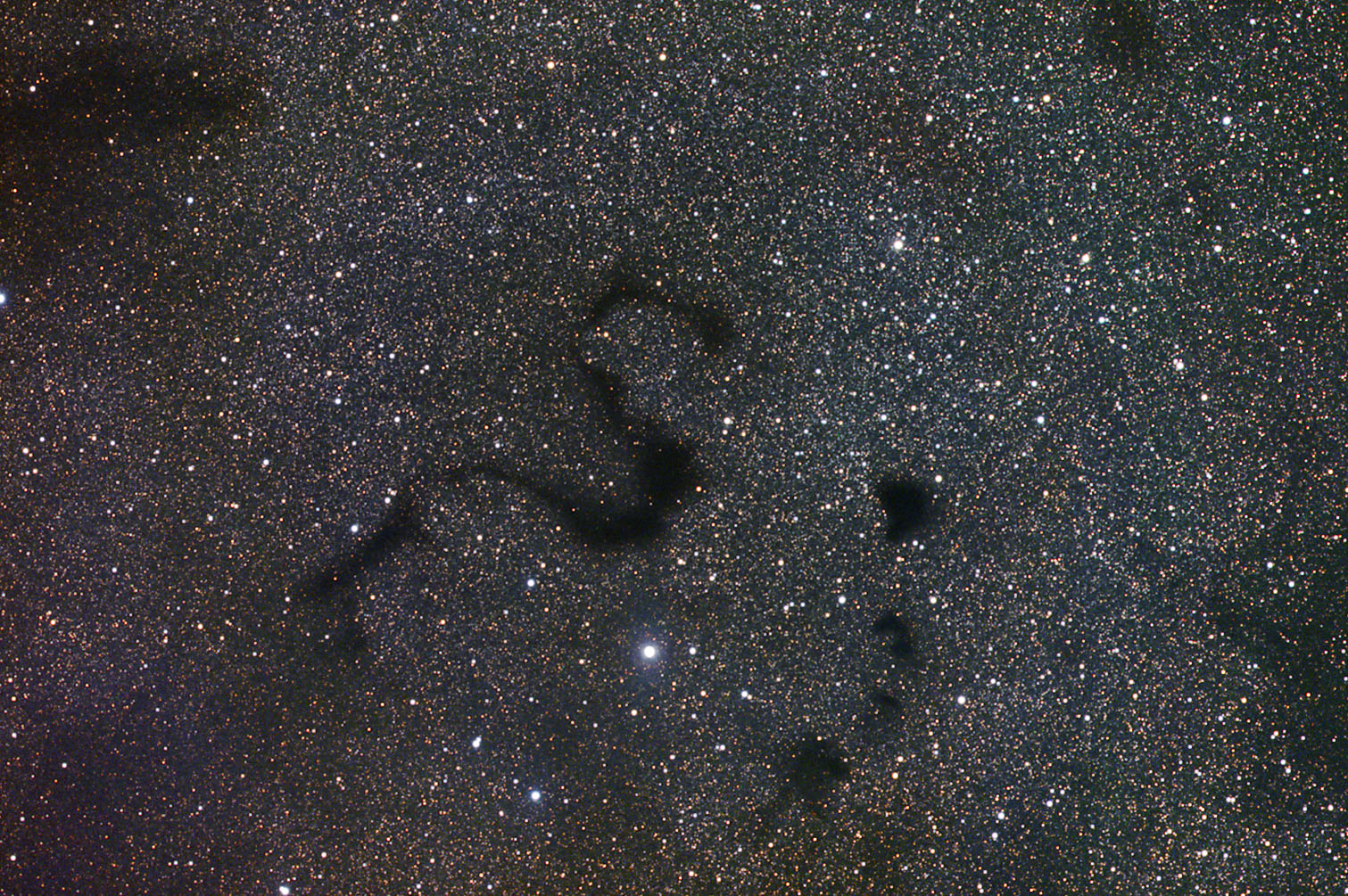 APOD: 2005 May 21 – Snake in the Dark