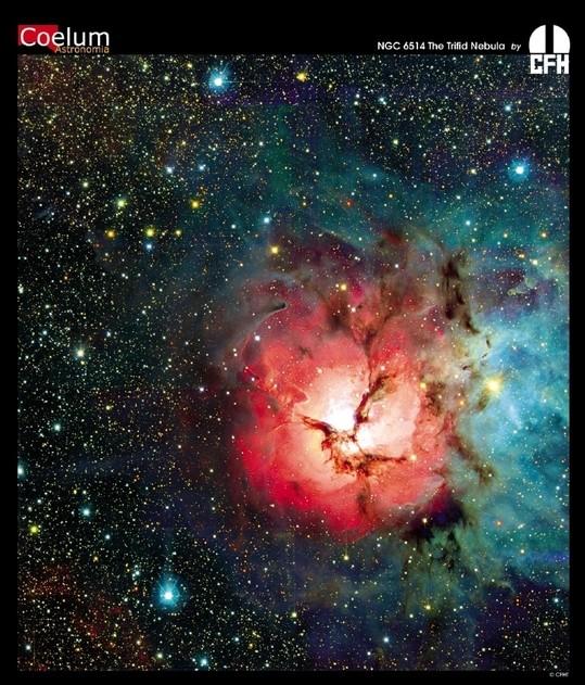 APOD: 2005 May 31 – The Trifid Nebula from CFHT