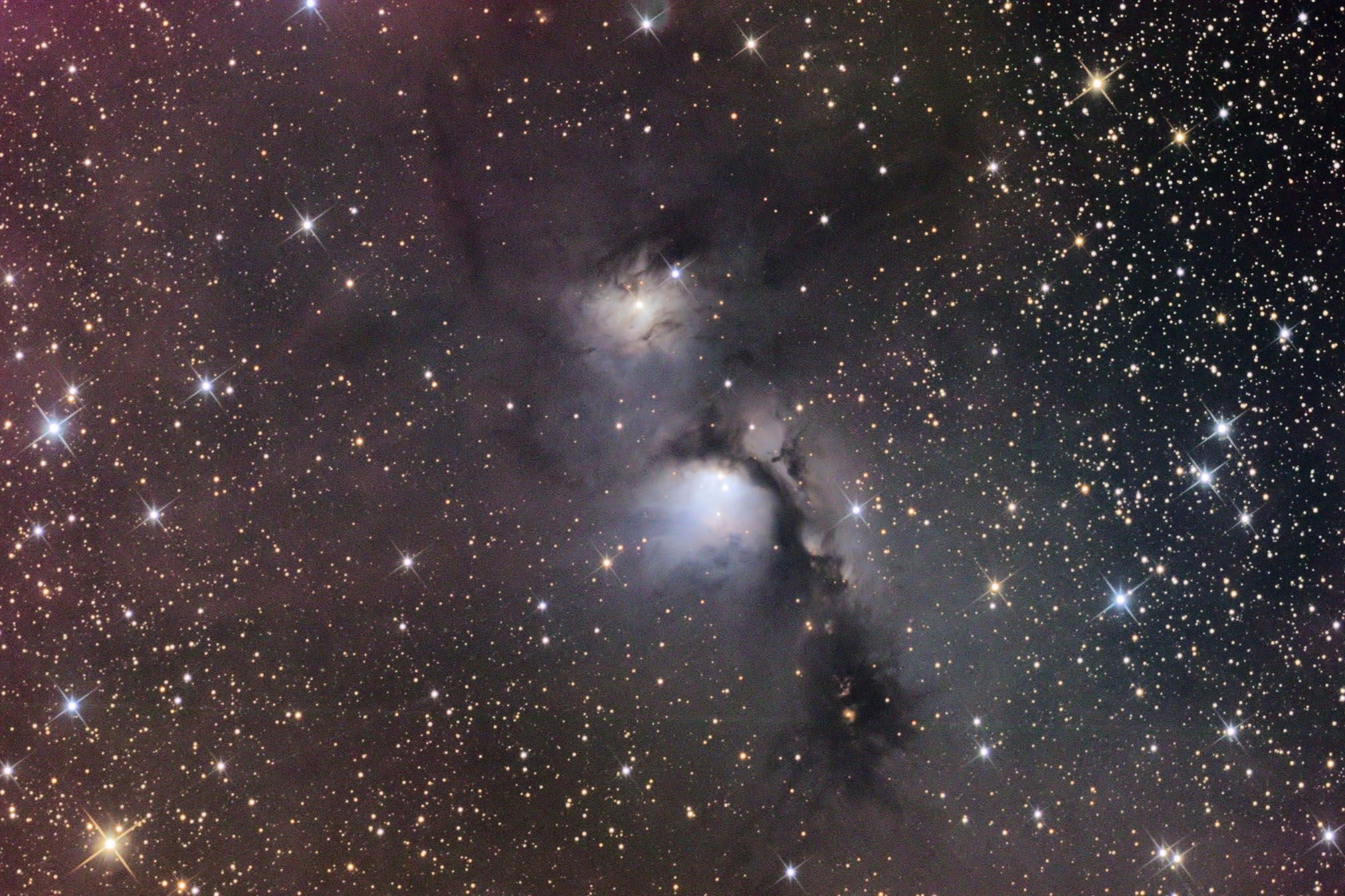 APOD: 2005 November 4 – M78: Stardust and Starlight