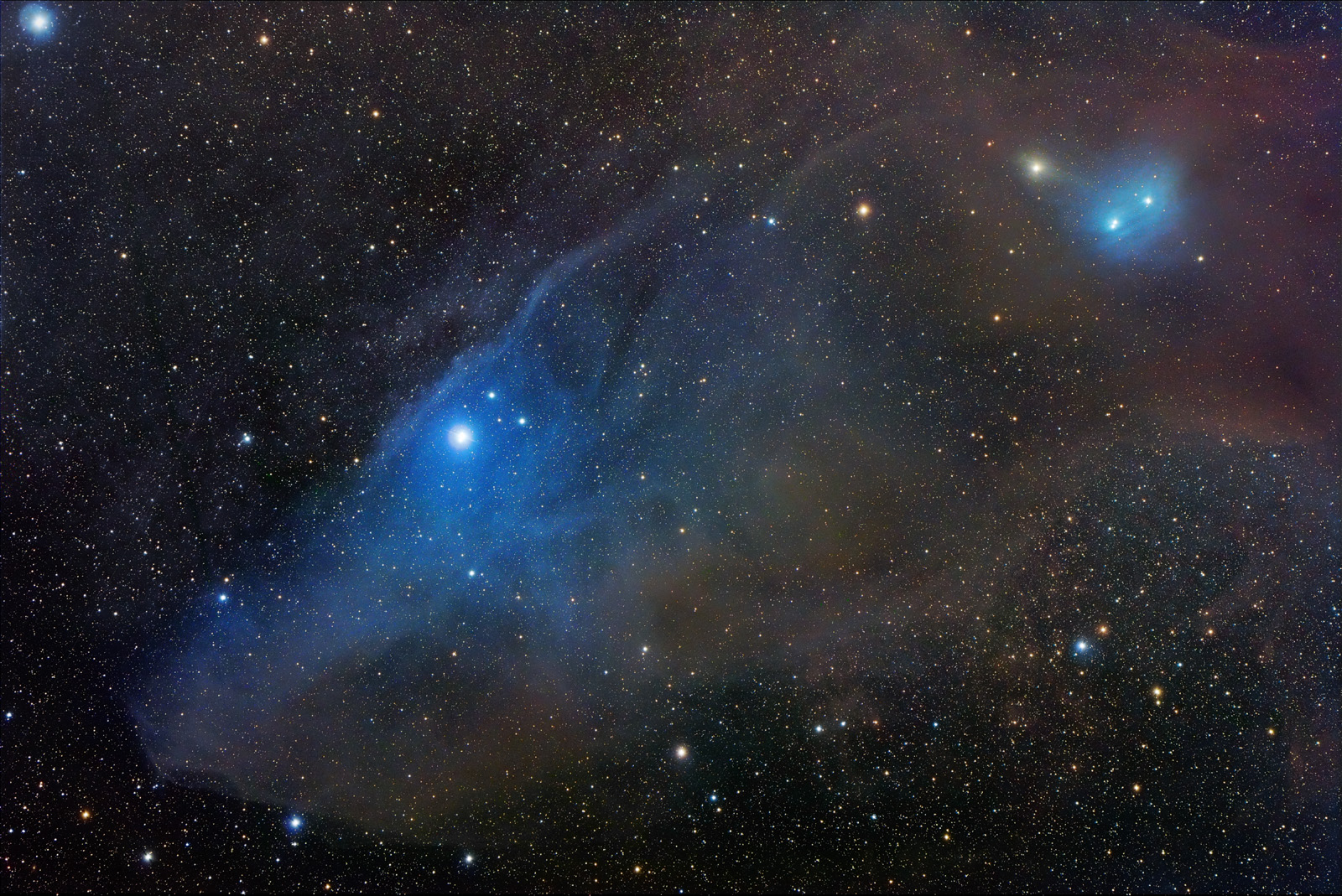 APOD: 2006 August 8 – Horse Head Shaped Reflection Nebula IC 4592