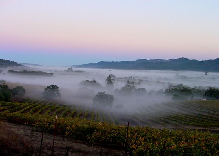 APOD: 2006 July 23 – The Belt of Venus over the Valley of the Moon