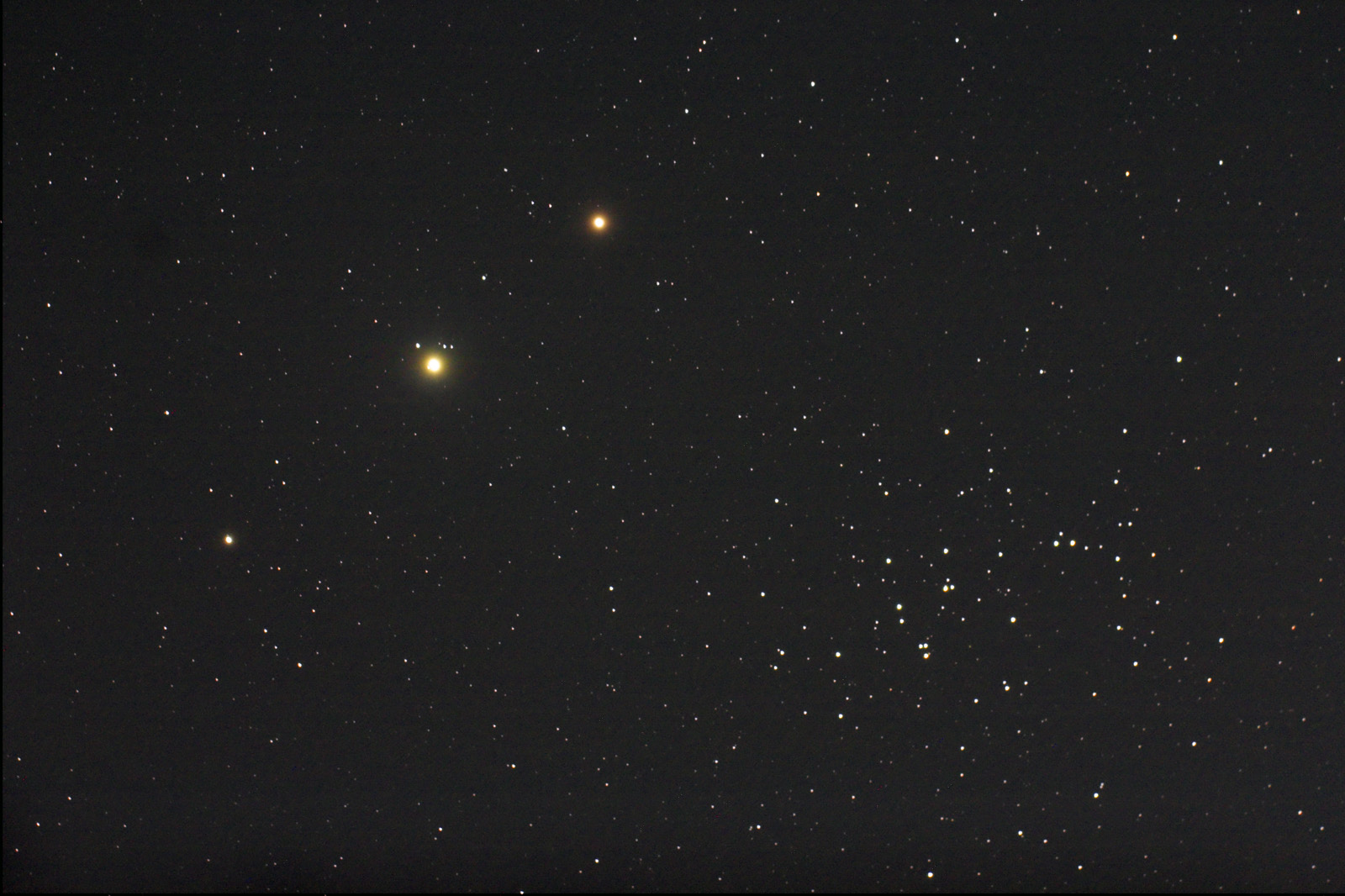 APOD: 2006 June 22 – Planets, Bees, and a Donkey