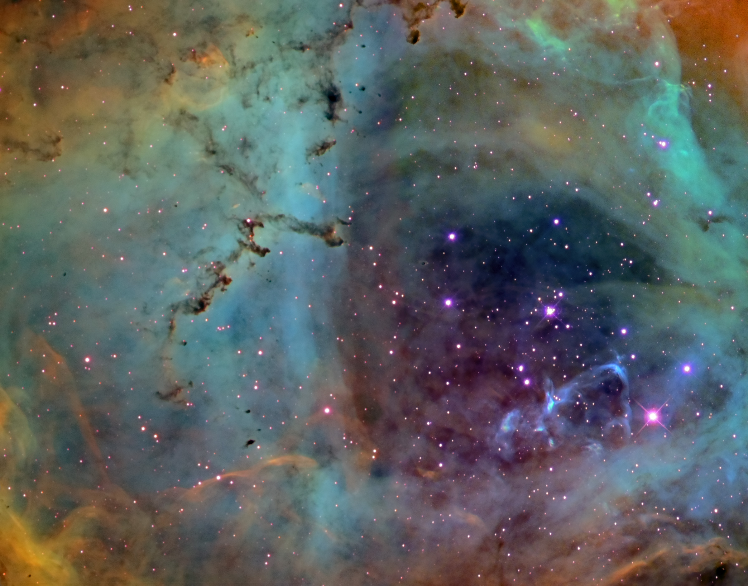 APOD: 2006 March 24 – When Roses Aren’t Red