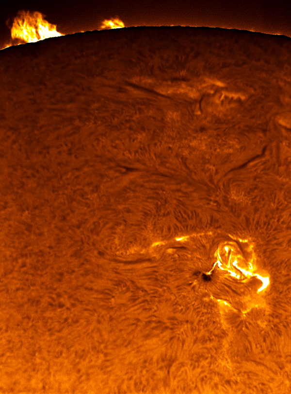 APOD: 2006 May 2 – Sunspot 875 Flares