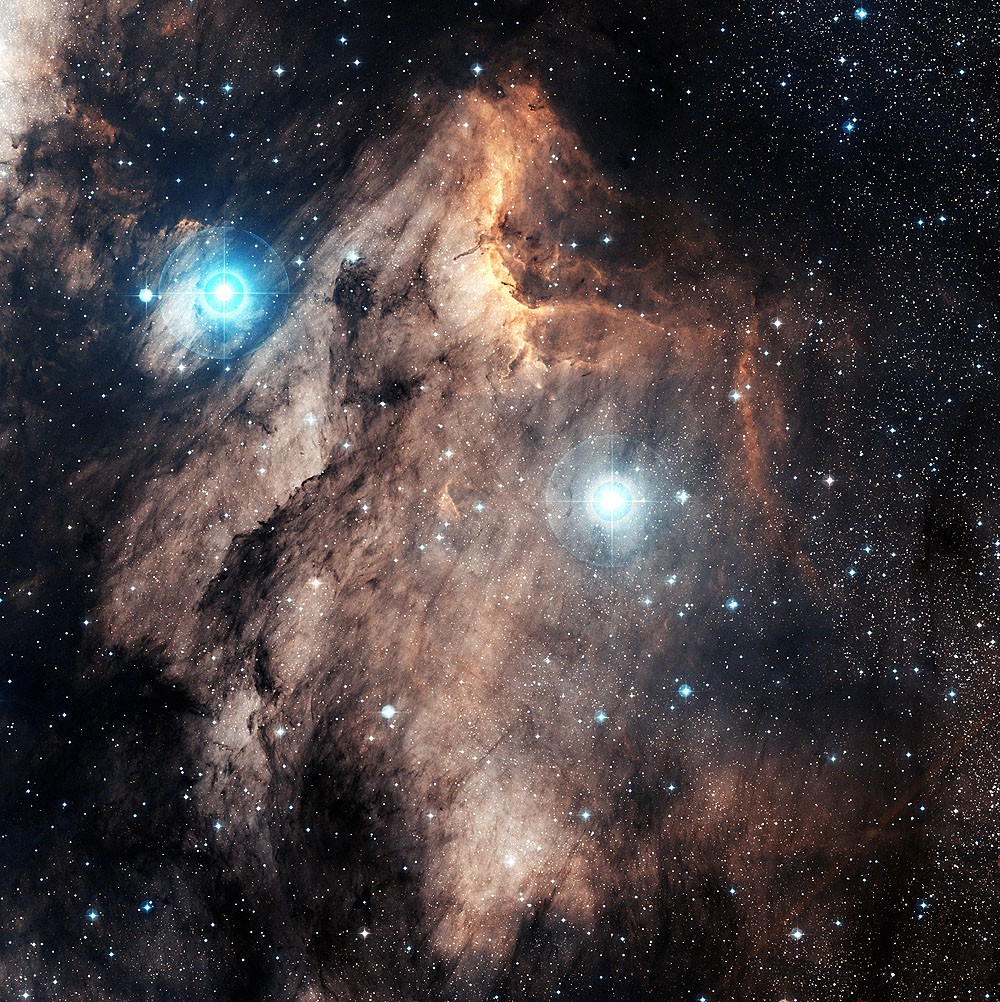 A Pelican in the Swan — APOD for 2006-11-30