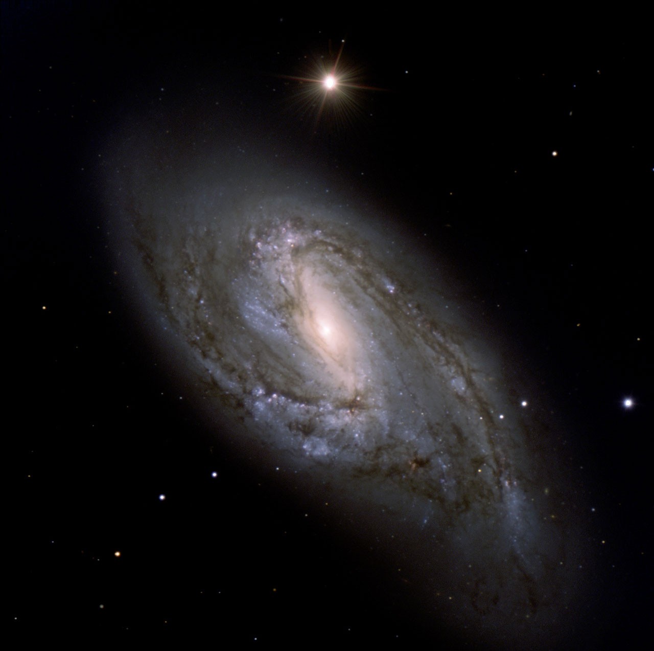 Dusty Spiral M66 — APOD for 2006-09-02