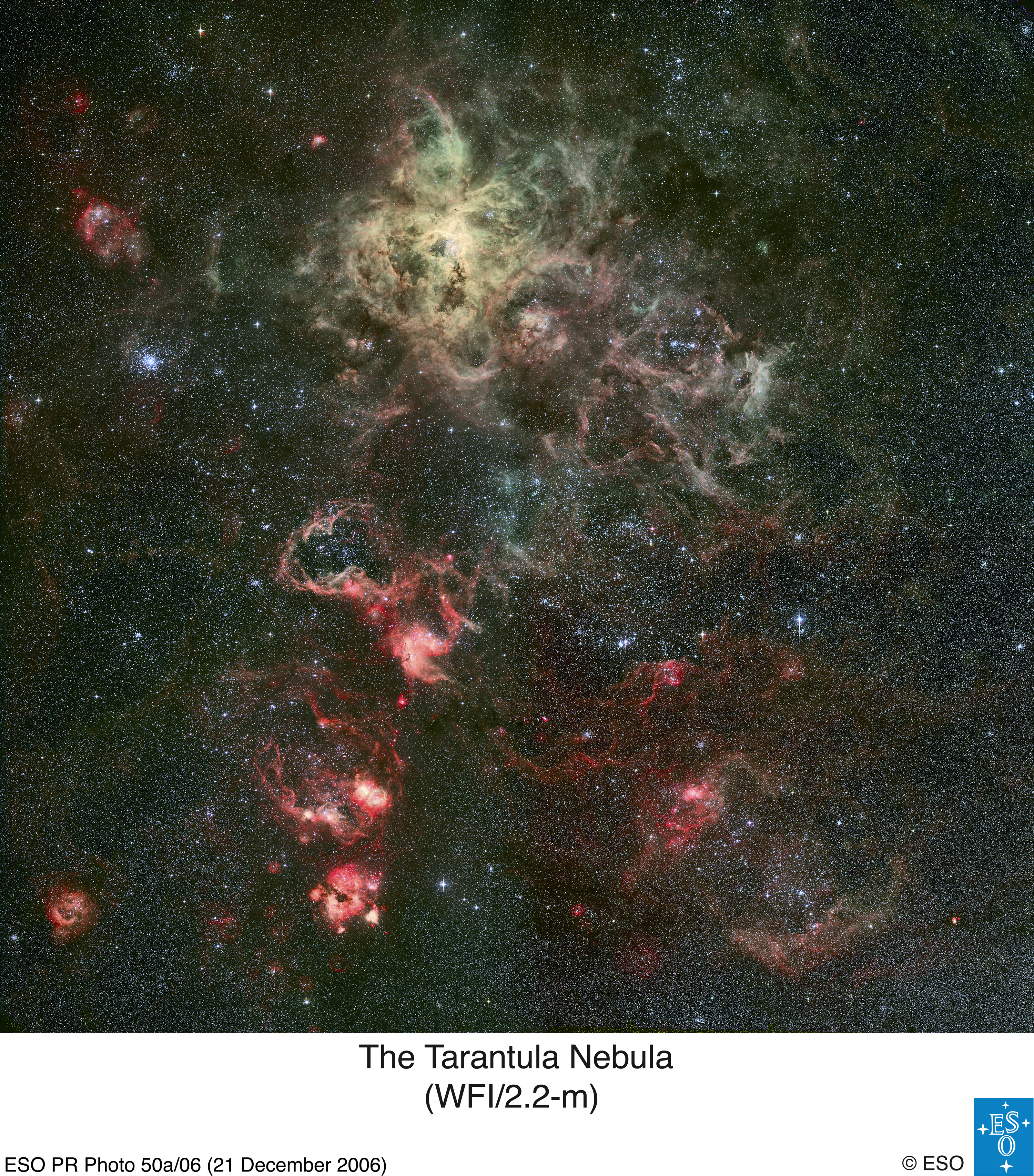 APOD: 2007 August 22 – Tentacles of the Tarantula Nebula