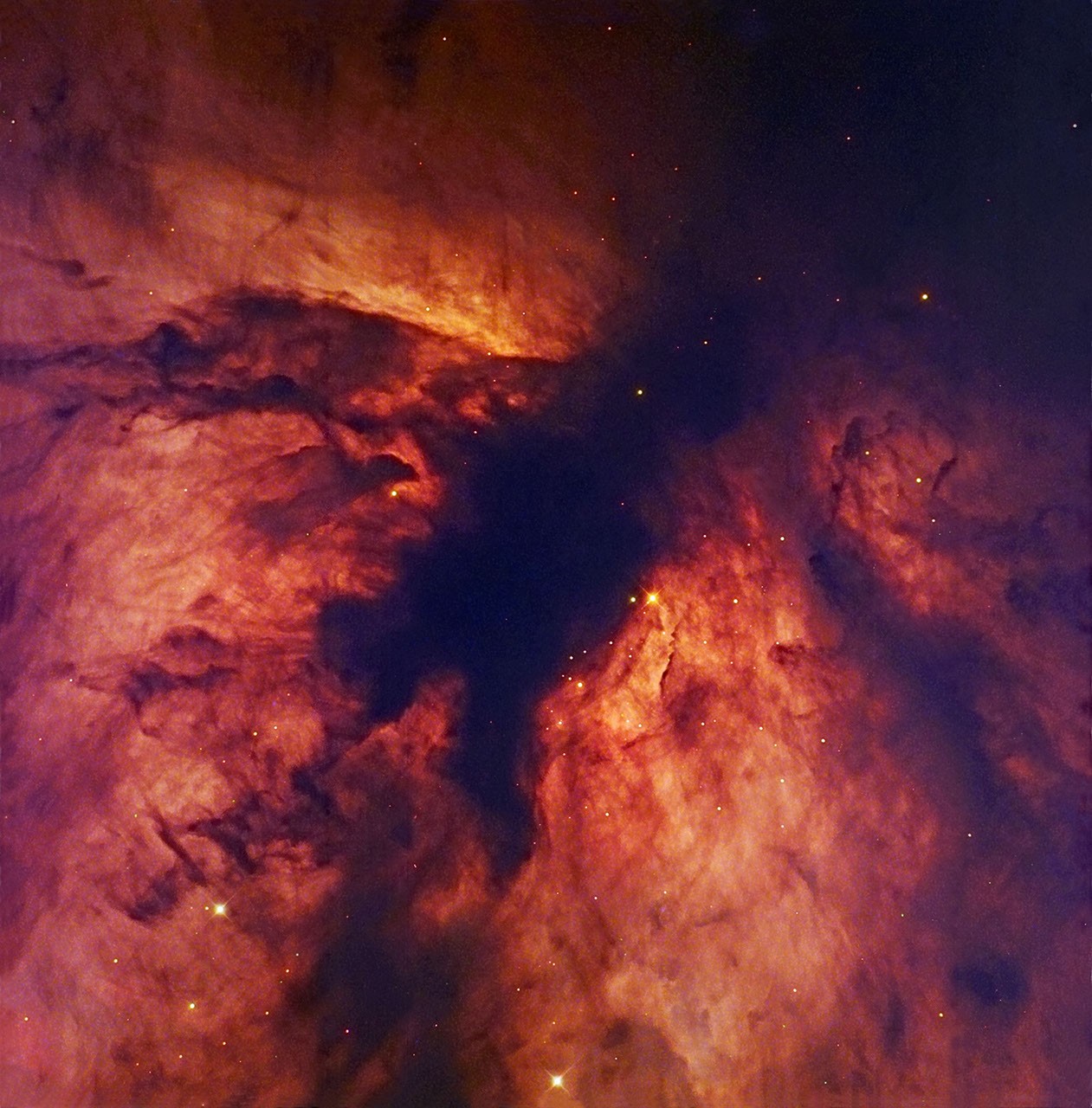 Flame Nebula Close-Up — APOD for 2007-02-02