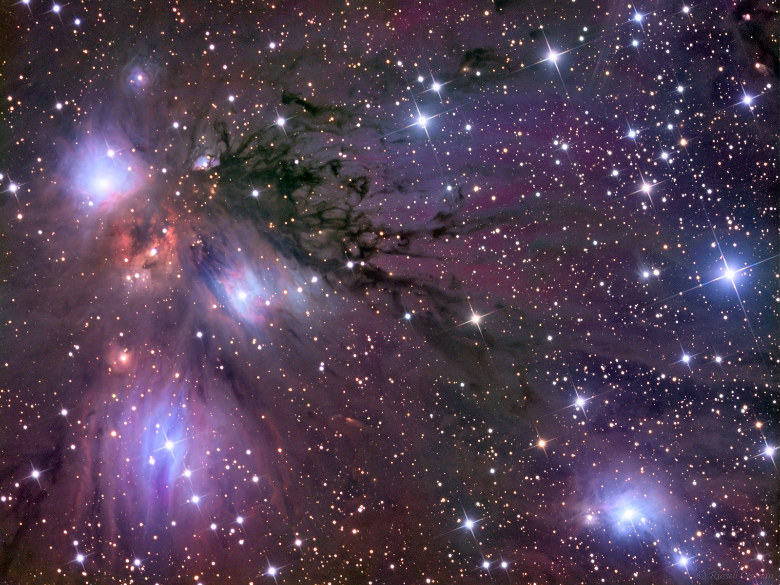 APOD: 2007 February 28 – Stars, Dust and Nebula in NGC 2170