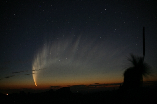 APOD: 2007 January 22 – The Magnificent Tail of Comet McNaught
