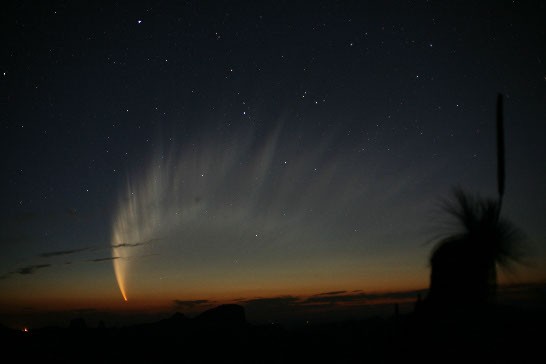 The Magnificent Tail of Comet McNaught — APOD for 2007-01-22