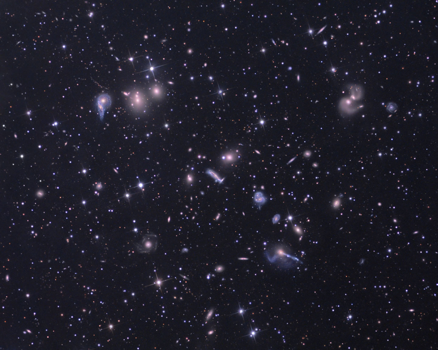 APOD: 2007 July 19 – The Hercules Cluster of Galaxies