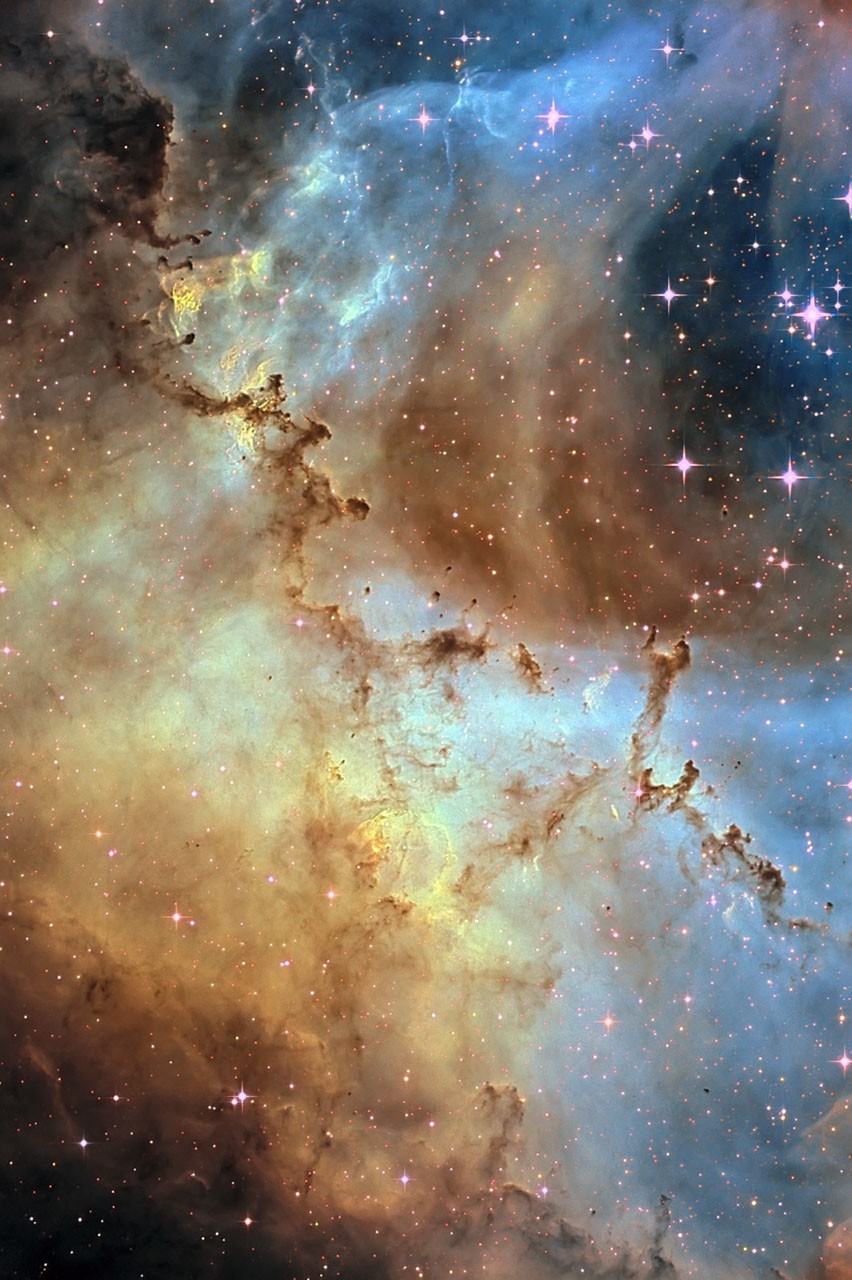 Dust Sculptures in the Rosette Nebula — APOD for 2007-06-06