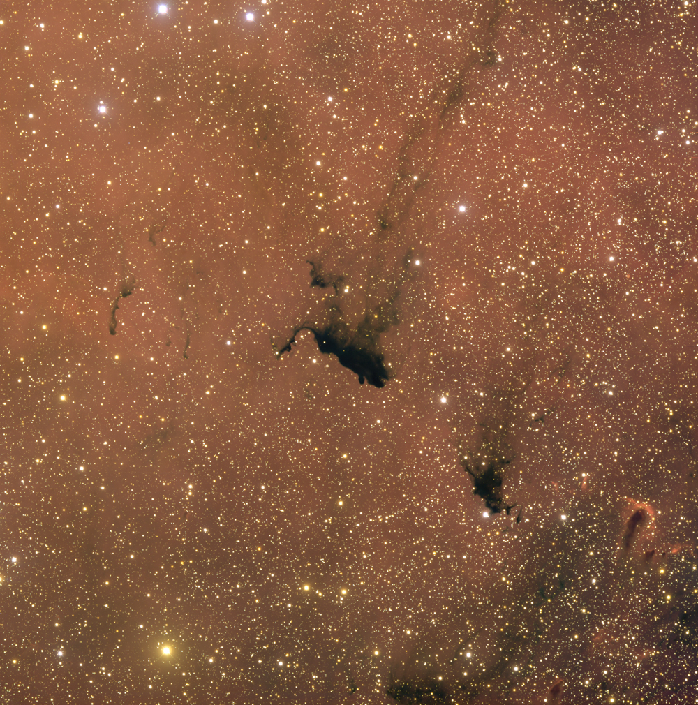 APOD: 2007 March 21 – Molecular Cloud Barnard 163