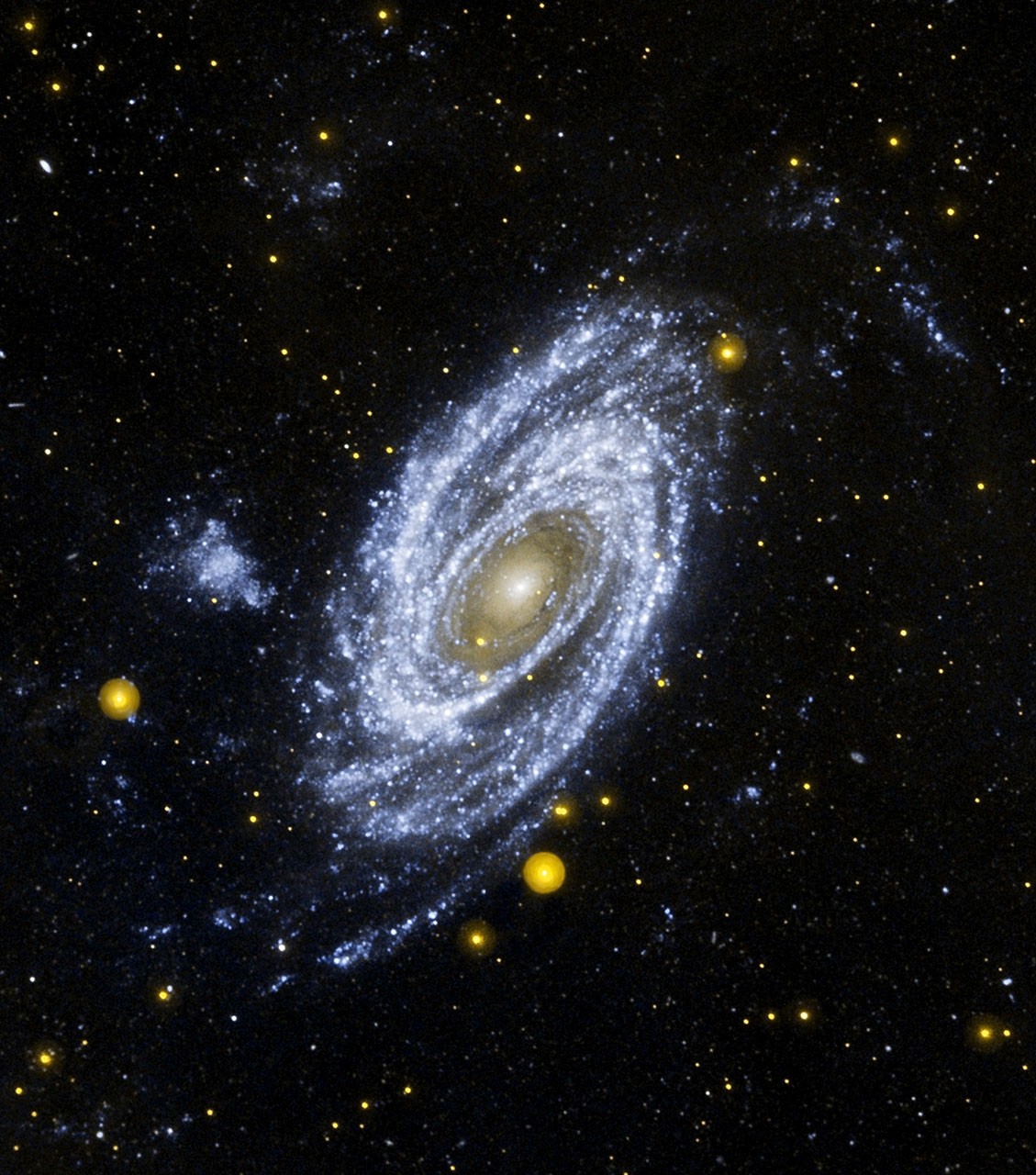Bright Spiral Galaxy M81 in Ultraviolet from Galex — APOD for 2007-05-15