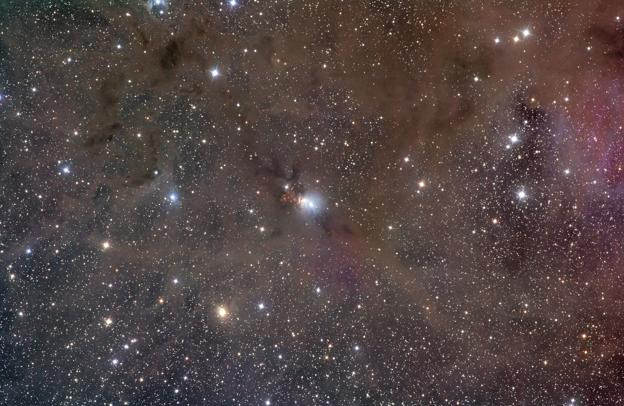 APOD: 2007 November 29 – Stardust in Perseus
