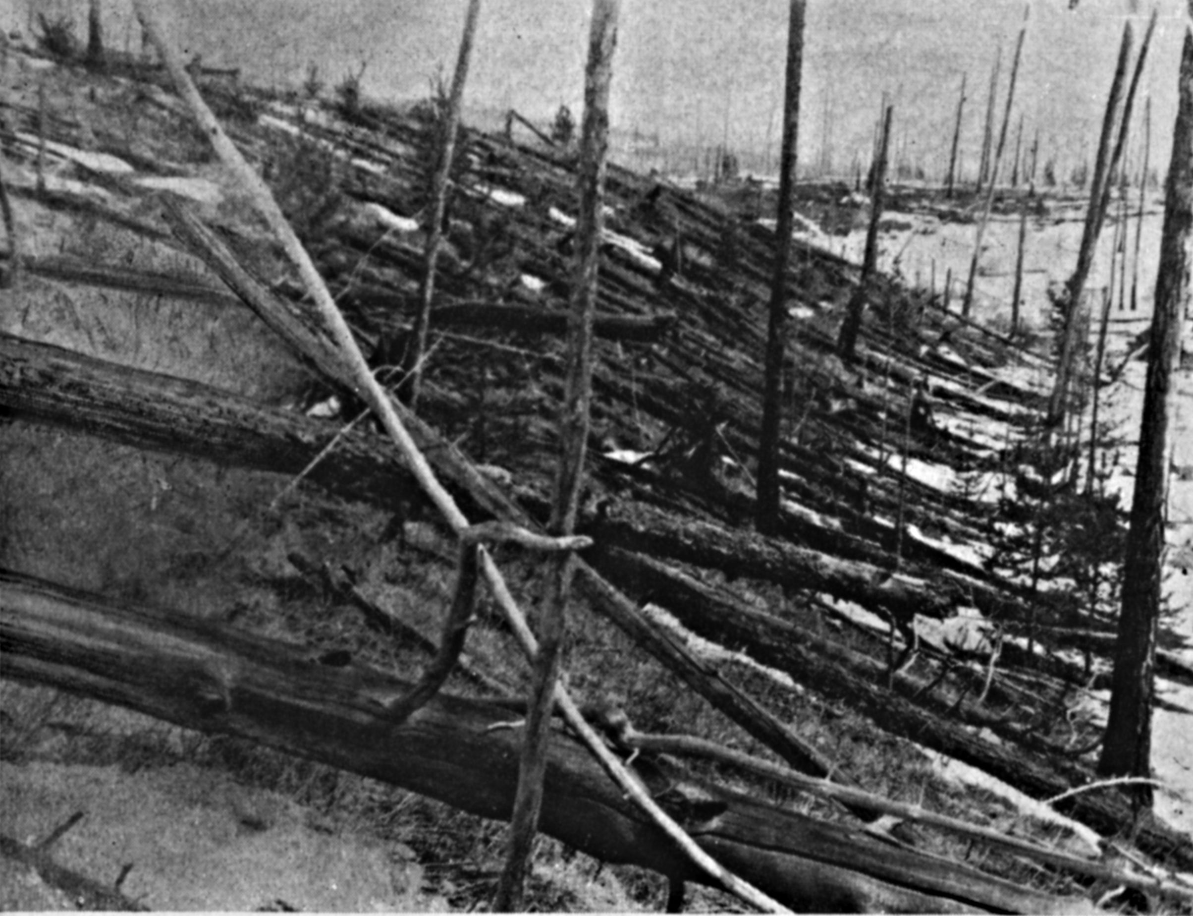 APOD: 2007 November 14 – Tunguska: The Largest Recent Impact Event
