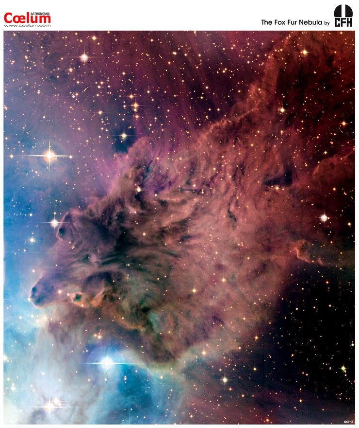 APOD: 2008 April 22 – The Fox Fur Nebula from CFHT