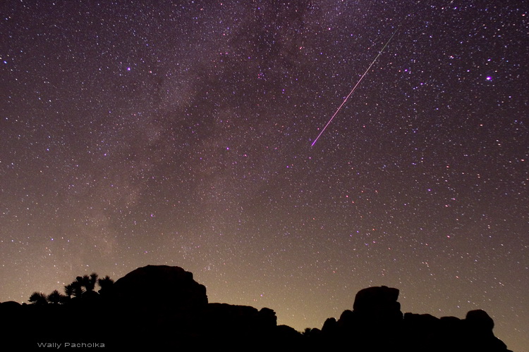 APOD: 2008 August 14 – Perseid Trail