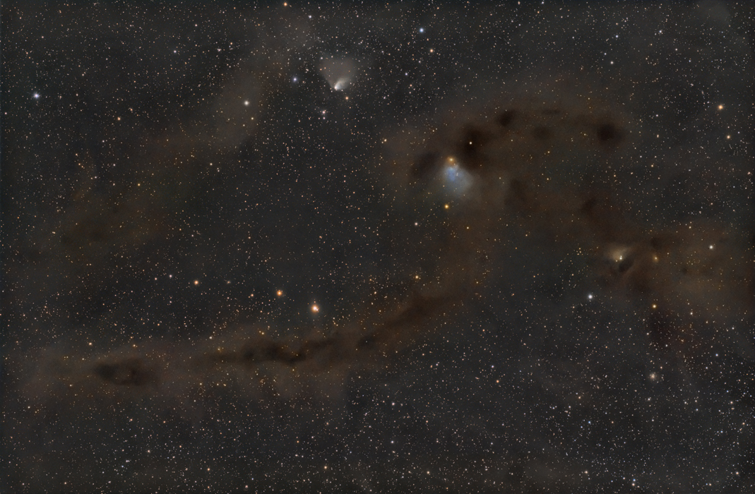 APOD: 2009 April 25 – Dark Markings of the Sky