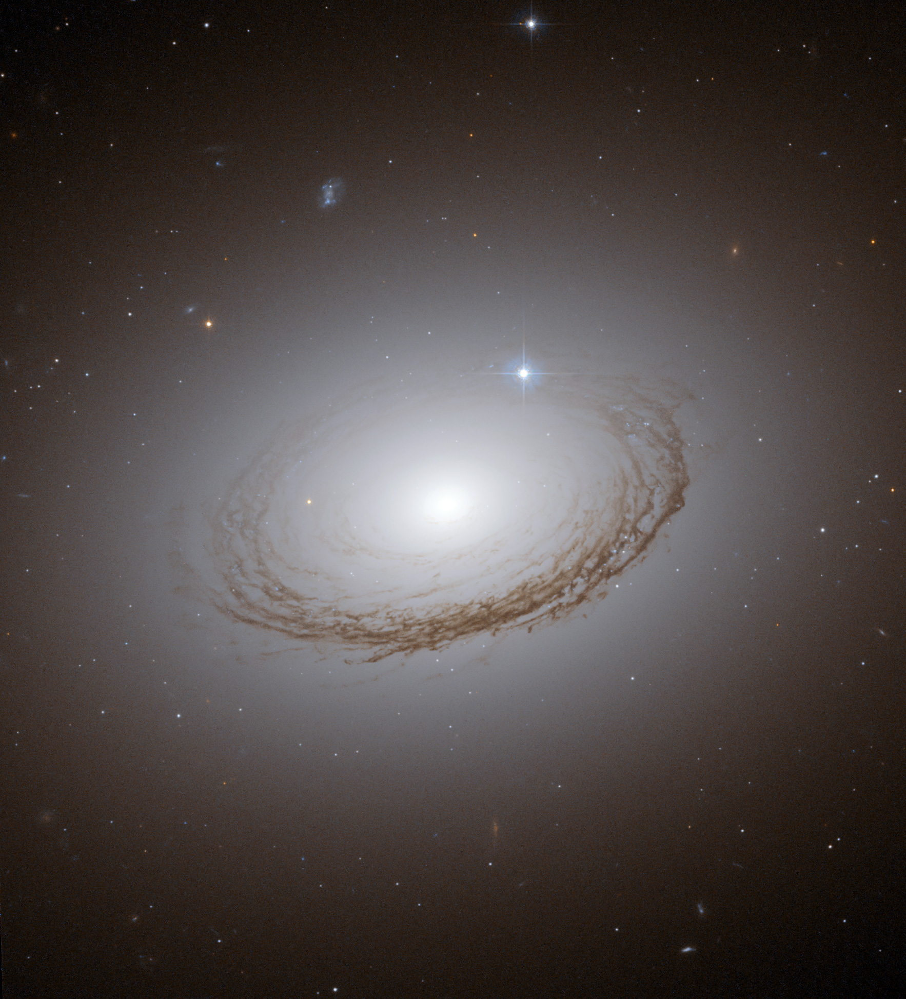 APOD: 2009 April 8 – Unusual Dusty Galaxy NGC 7049