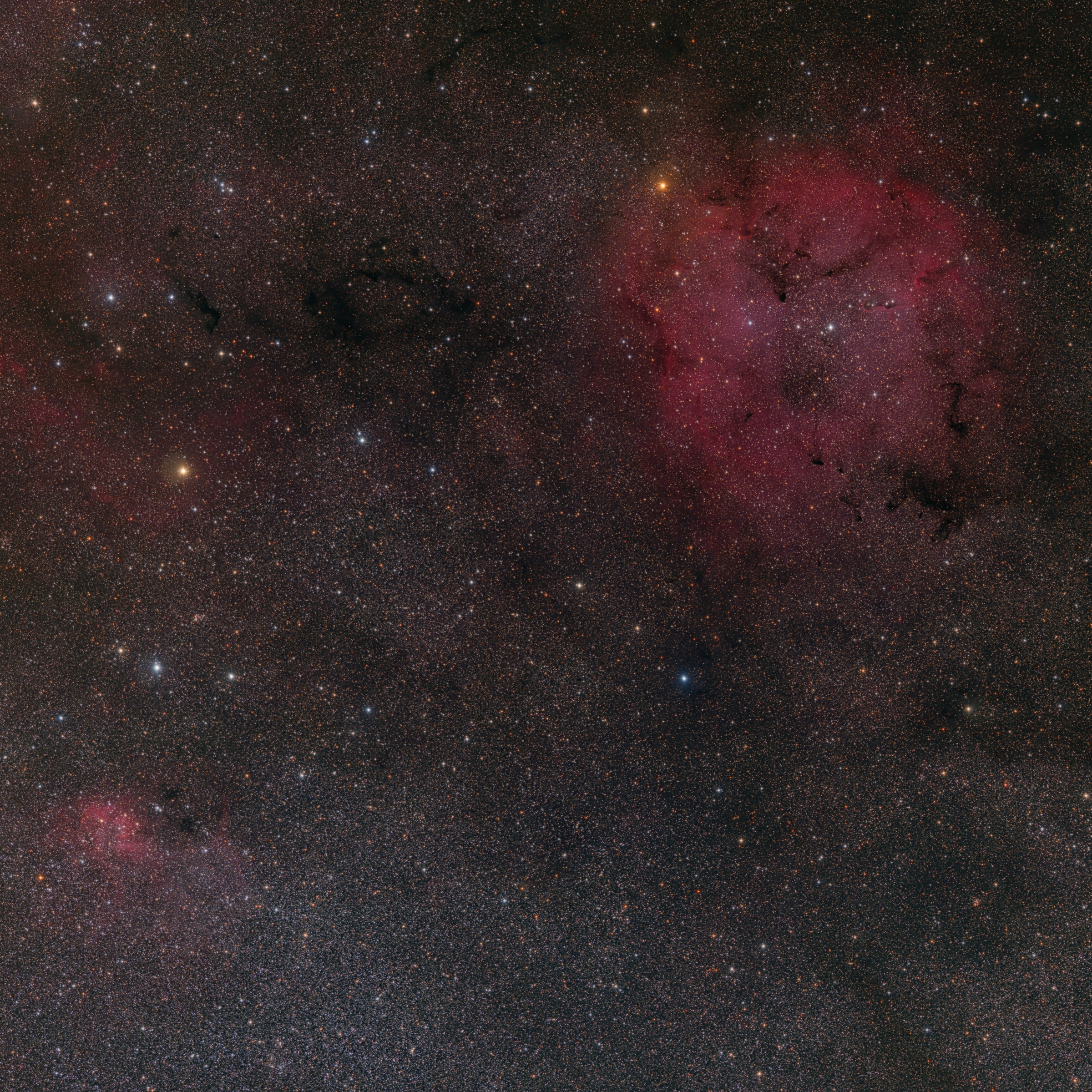 APOD: 2009 August 19 – IC 1396 and Surrounding Starfield