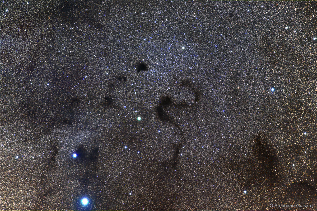 APOD: 2009 February 20 – Snake in the Dark