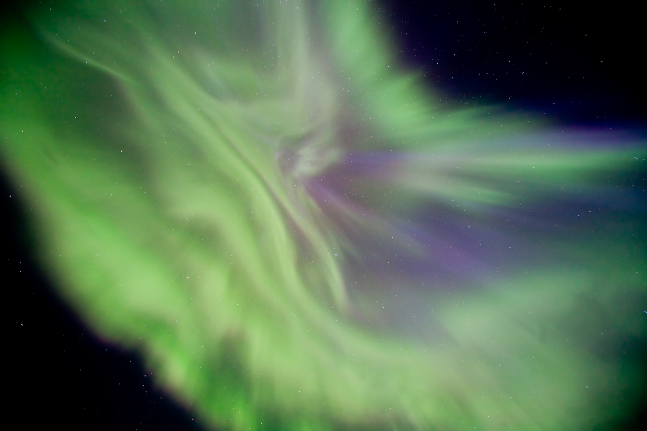 APOD: 2009 July 28 – A Floral Aurora Corona