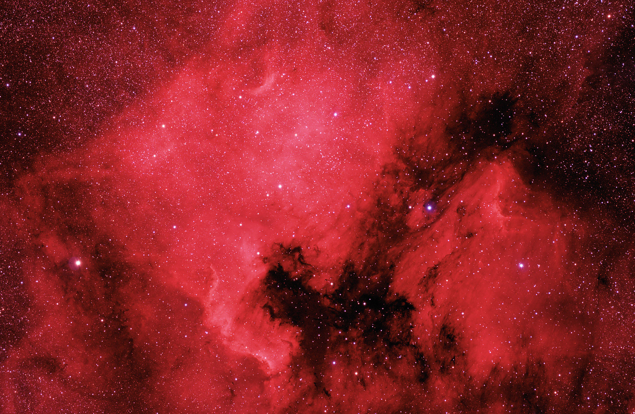 APOD: 2009 June 30 – The North America and Pelican Nebulae