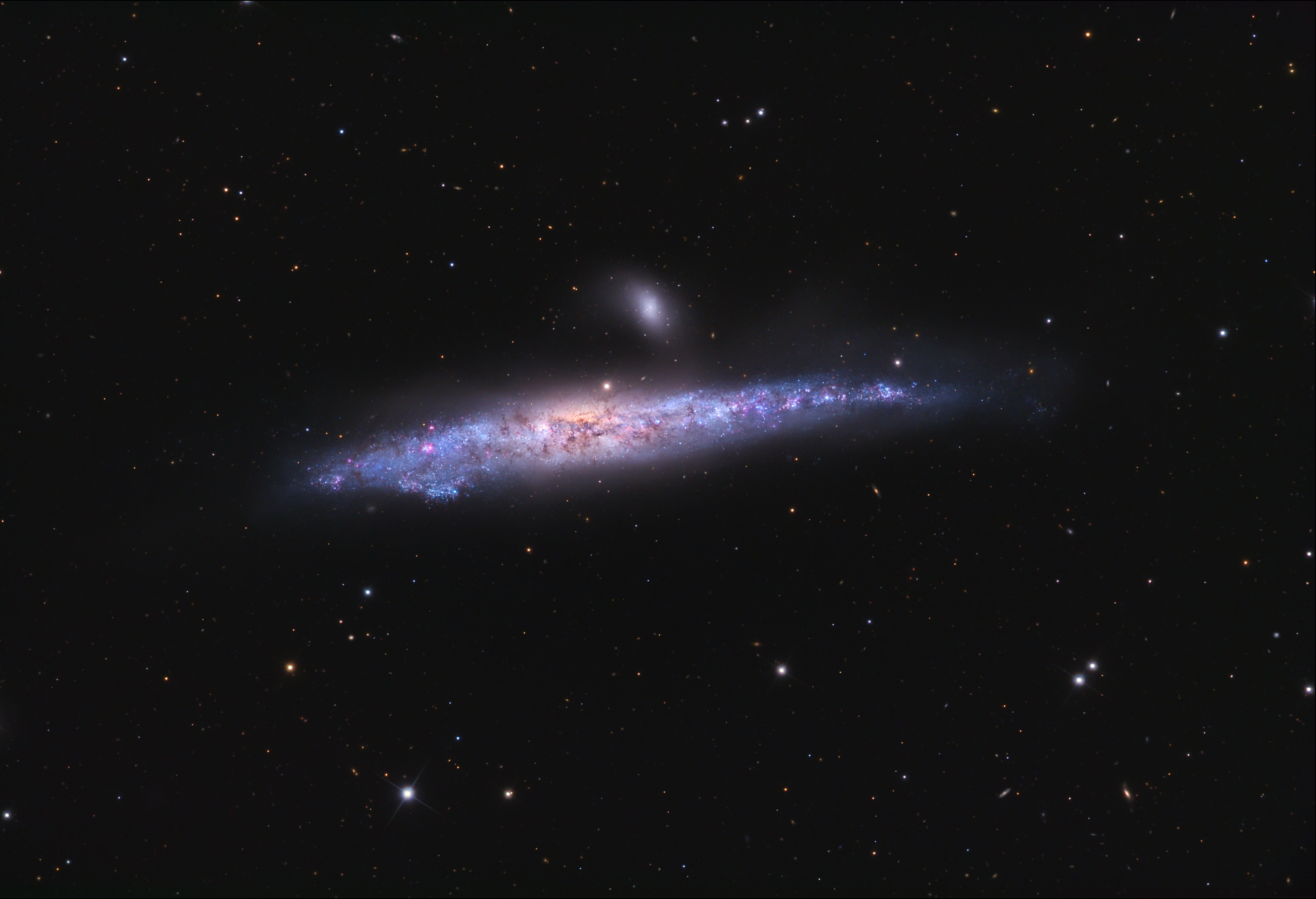 APOD: 2009 May 2 – The Whale Galaxy