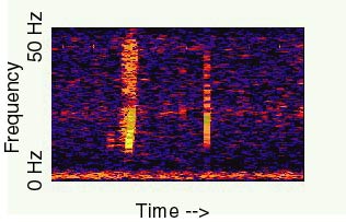 APOD: 2010 April 27 – The Bloop: A Mysterious Sound from the Deep Ocean