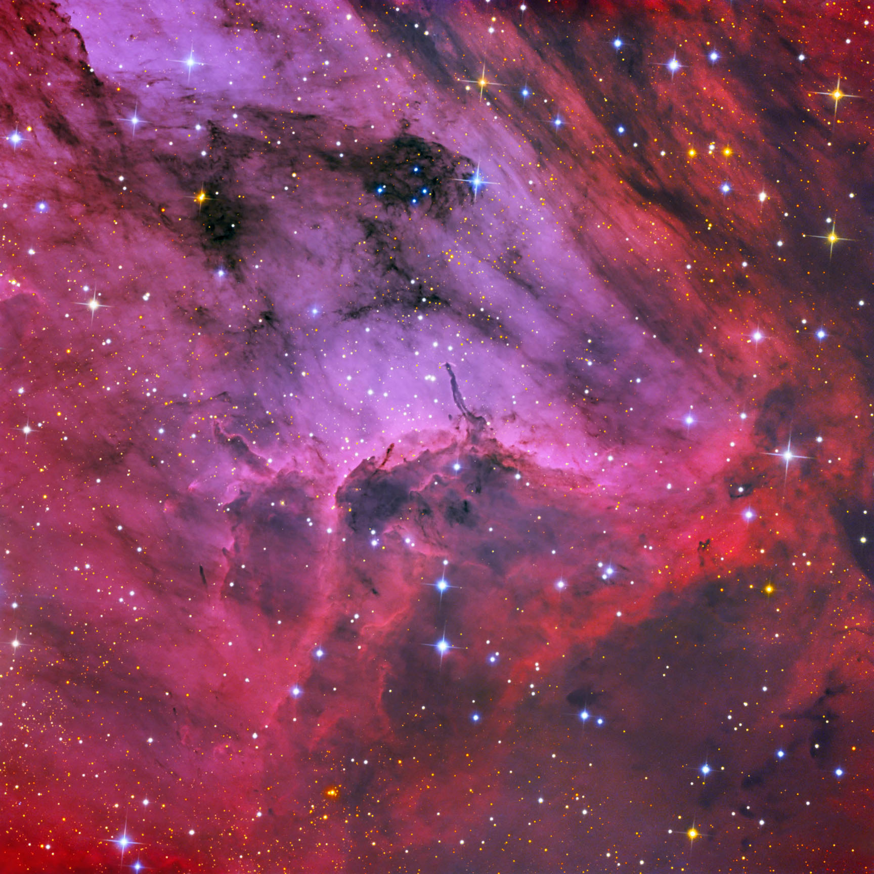 APOD: 2010 August 19 – Pelican Nebula Close Up