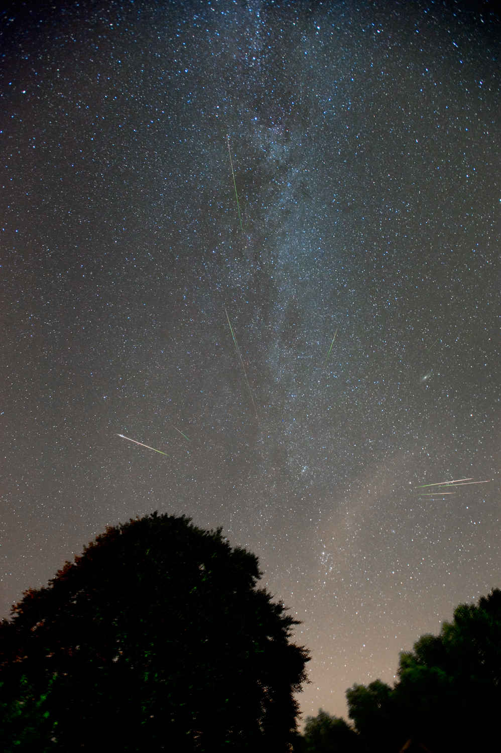 APOD: 2010 August 14 – Night of the Perseids