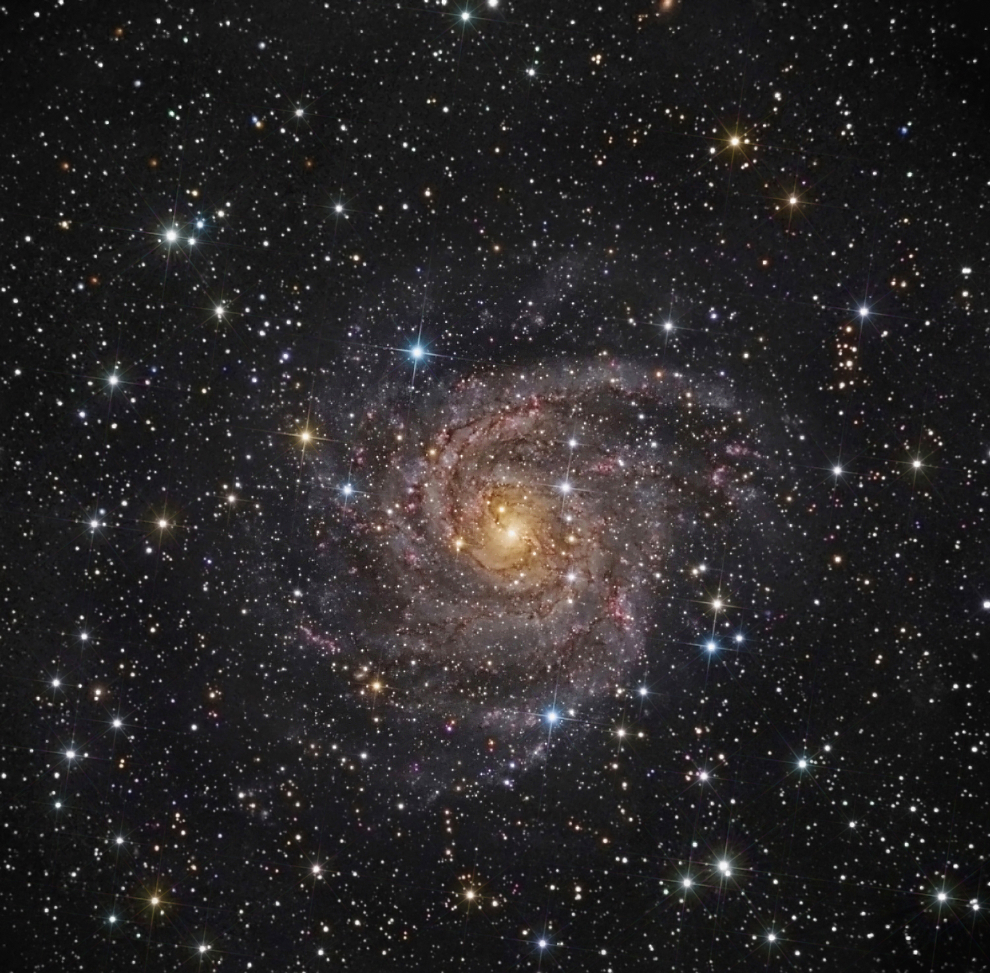 APOD: 2010 December 22 – Hidden Galaxy IC 342