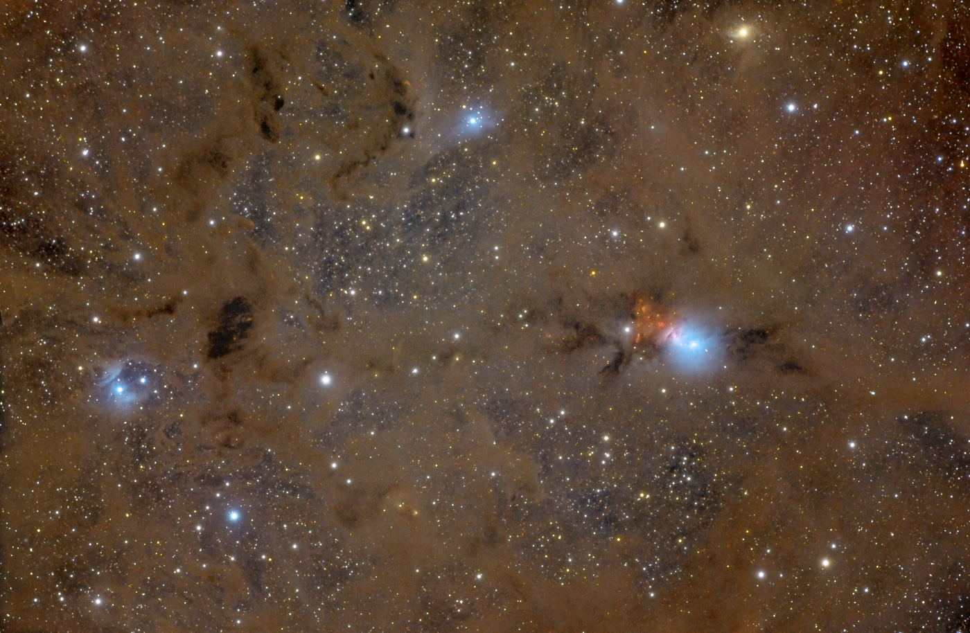 APOD: 2010 February 4 – Stardust in Perseus