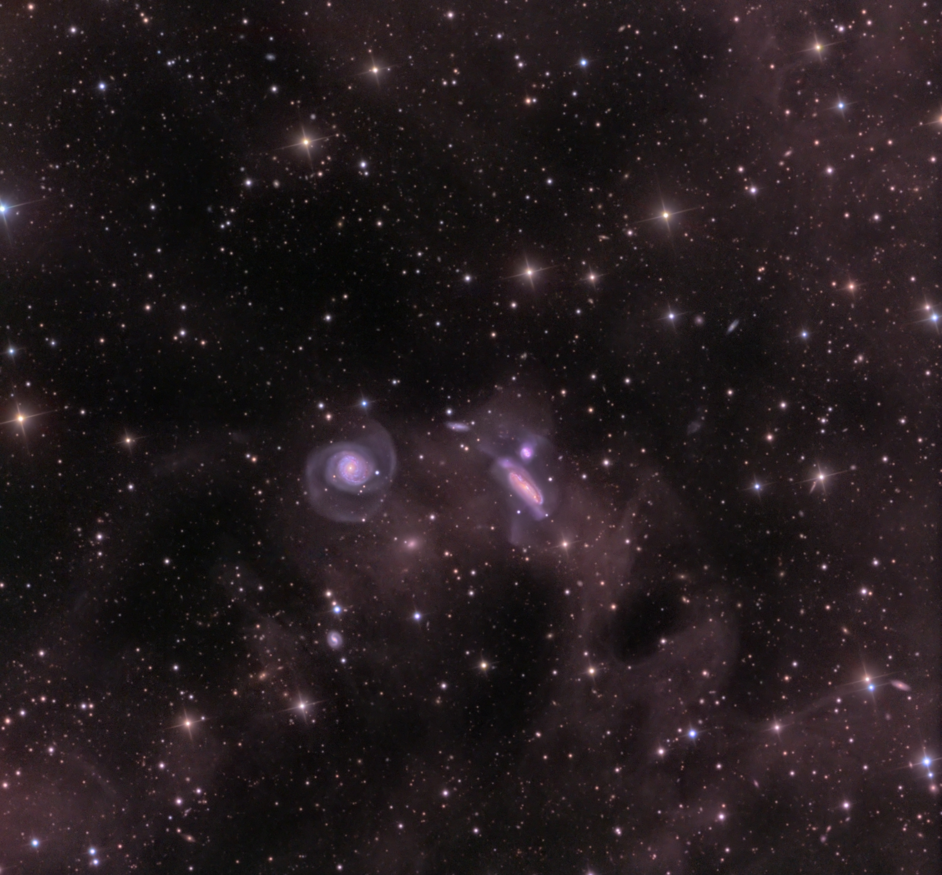 APOD: 2010 January 21 – Dust and the NGC 7771 Group