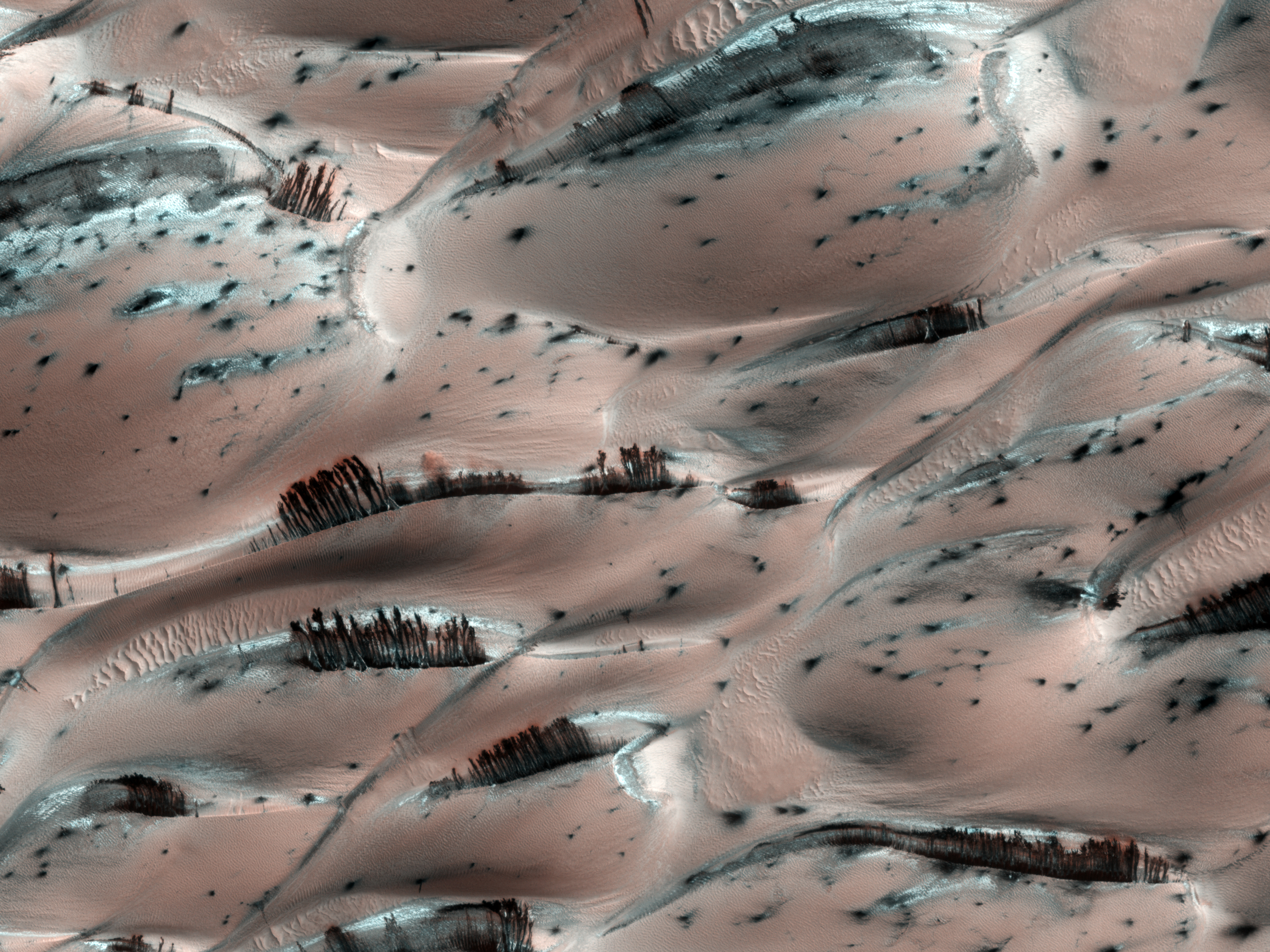 APOD: 2010 January 19 – Dark Sand Cascades on Mars