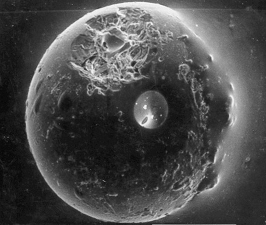 APOD: 2010 January 10 – A Spherule from the Earth’s Moon