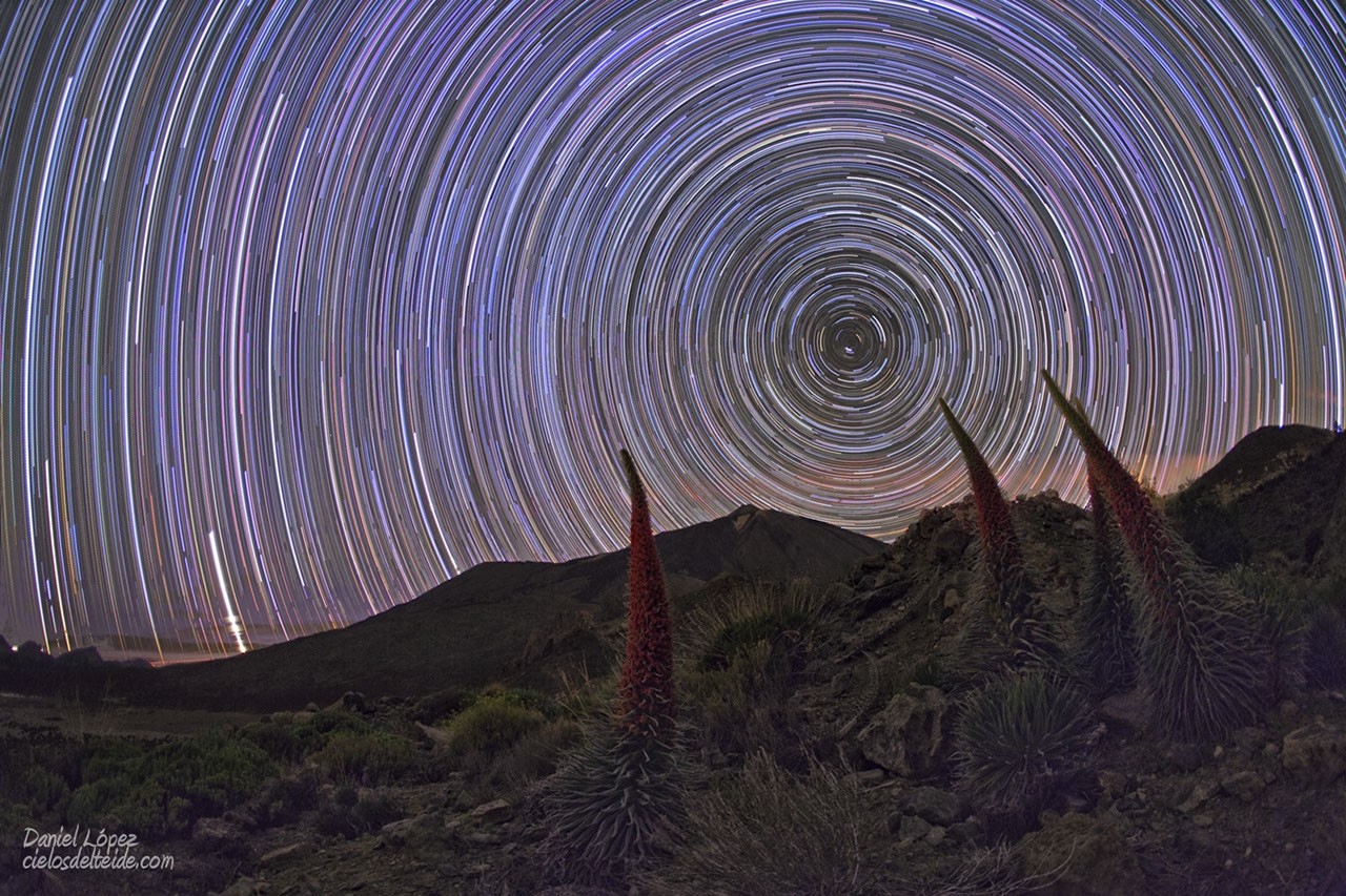Star Trails and Tajinastes — APOD for 2010-06-18