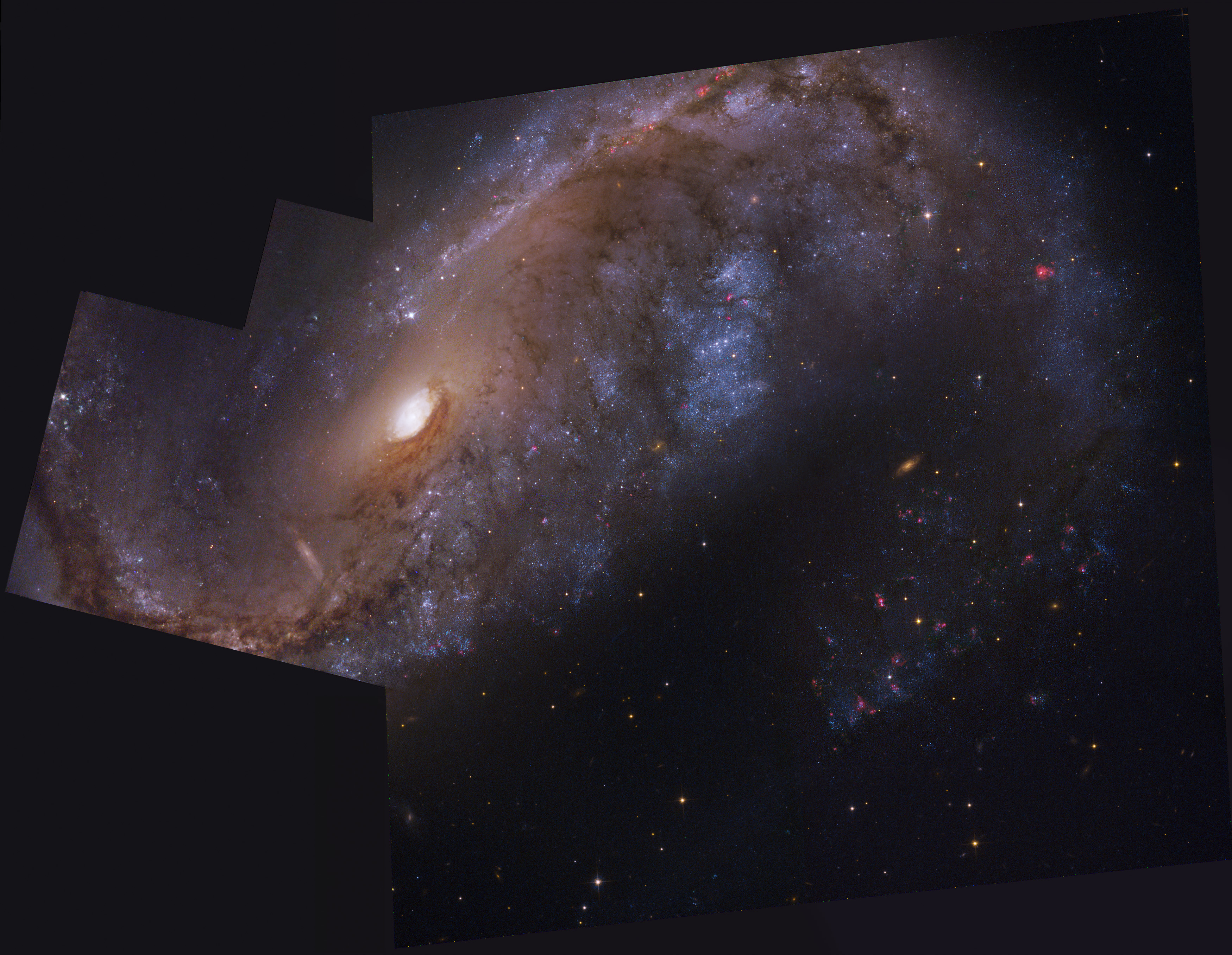 APOD: 2010 March 25 – NGC 2442: Galaxy in Volans
