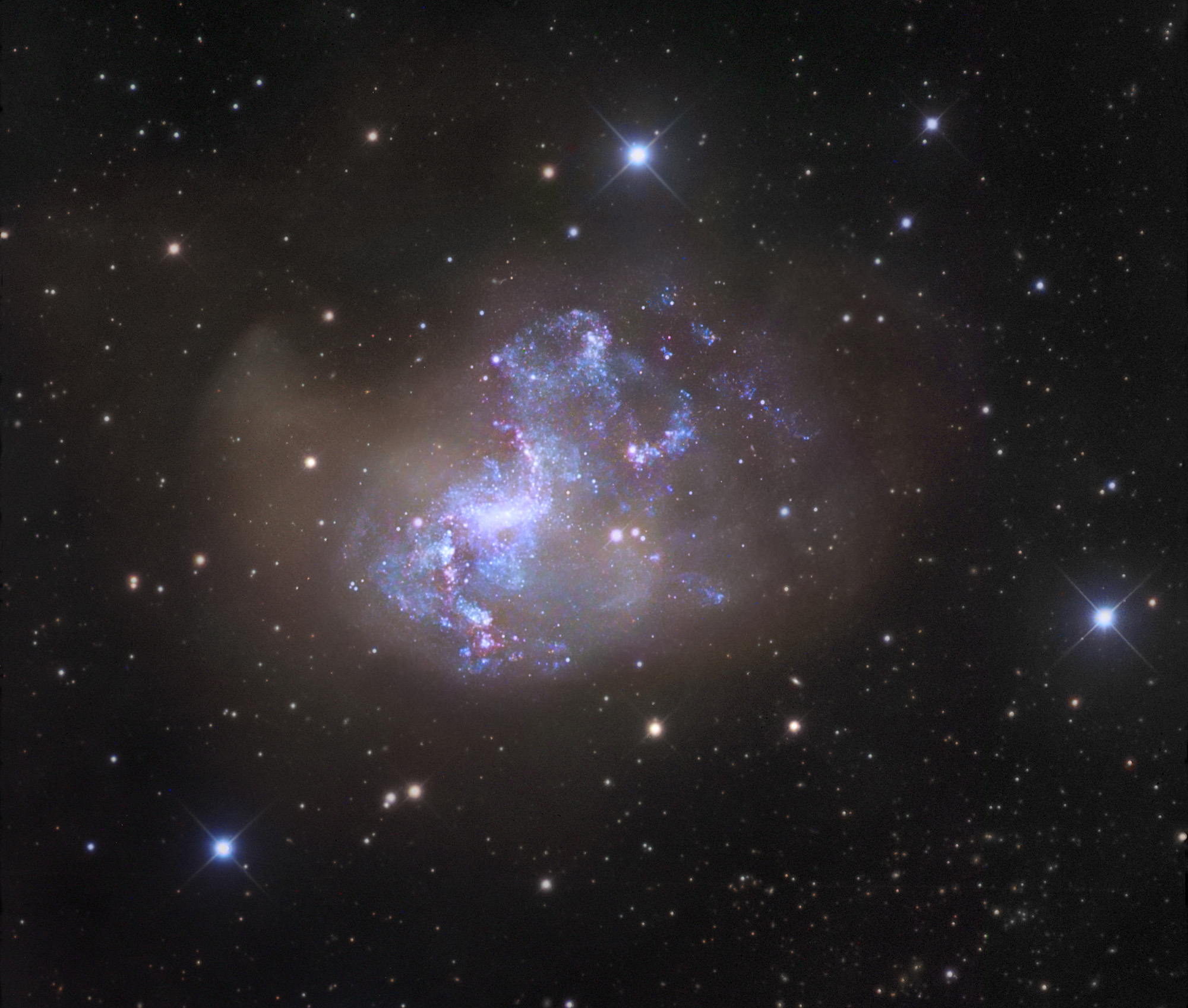 APOD: 2010 March 30 – Unusual Starburst Galaxy NGC 1313