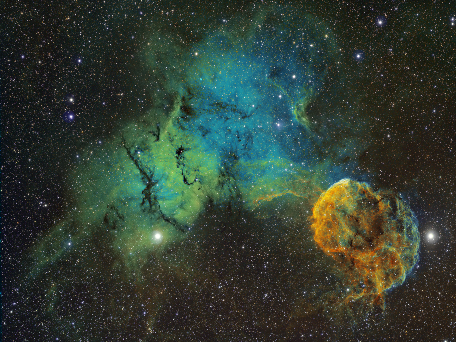 APOD: 2010 May 15 – The Elusive Jellyfish Nebula