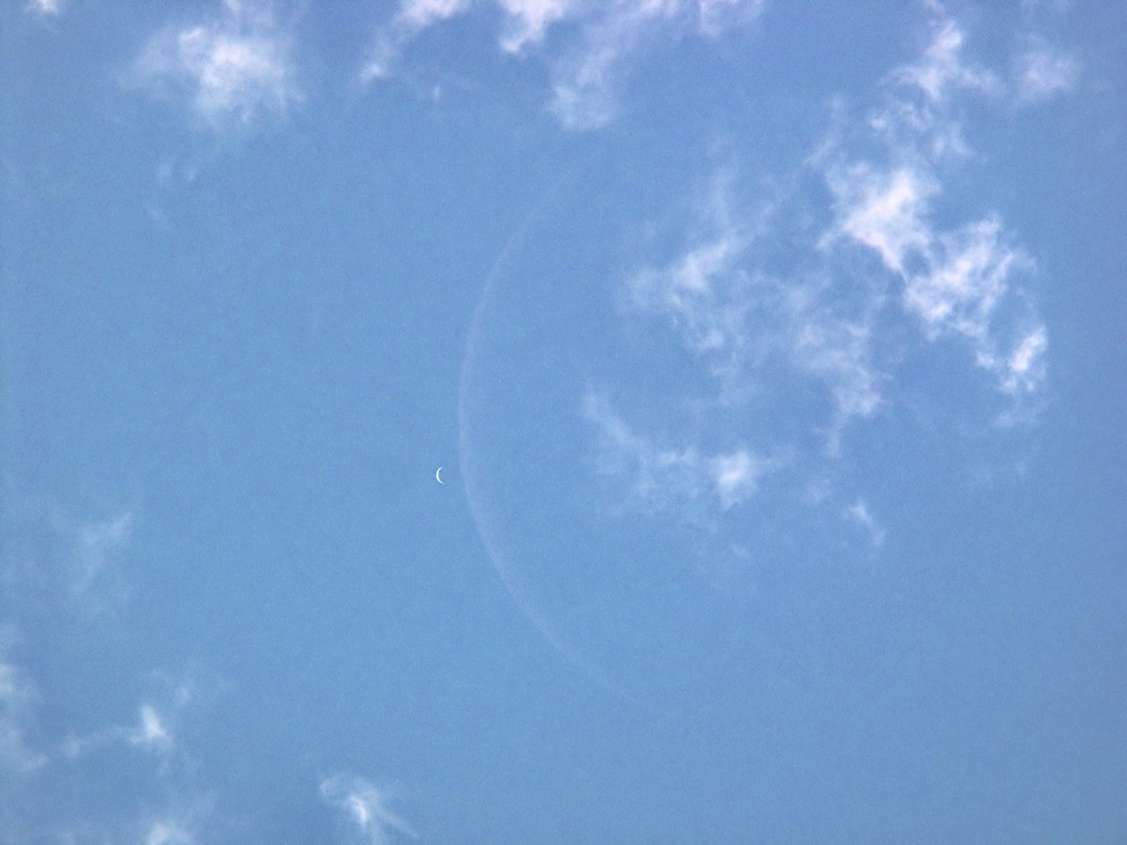 APOD: 2010 May 16 – Crescent Venus and Moon