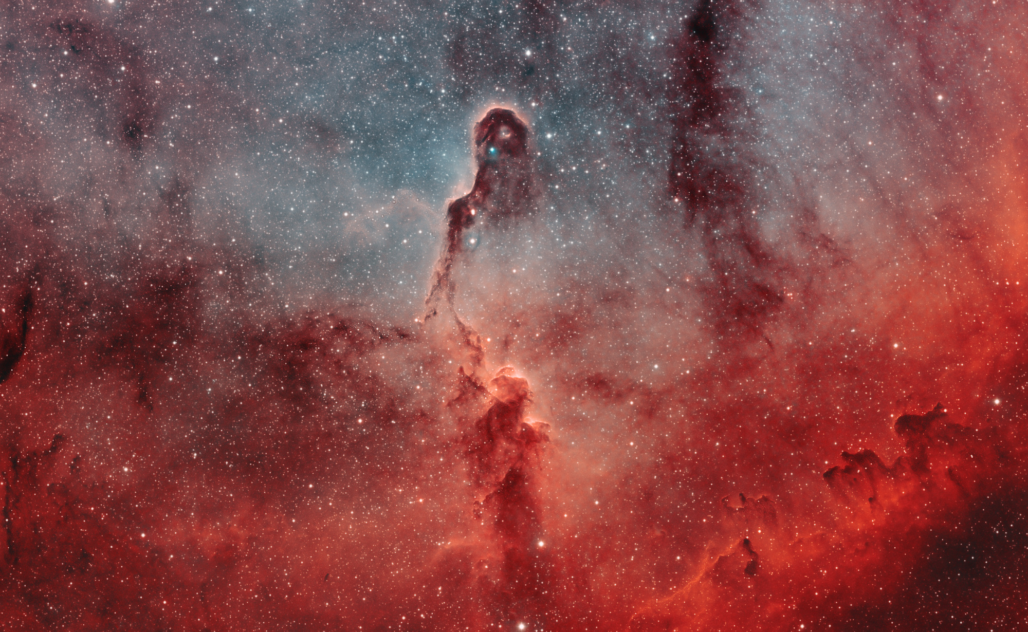 APOD: 2010 November 6 – The Elephant’s Trunk in IC 1396