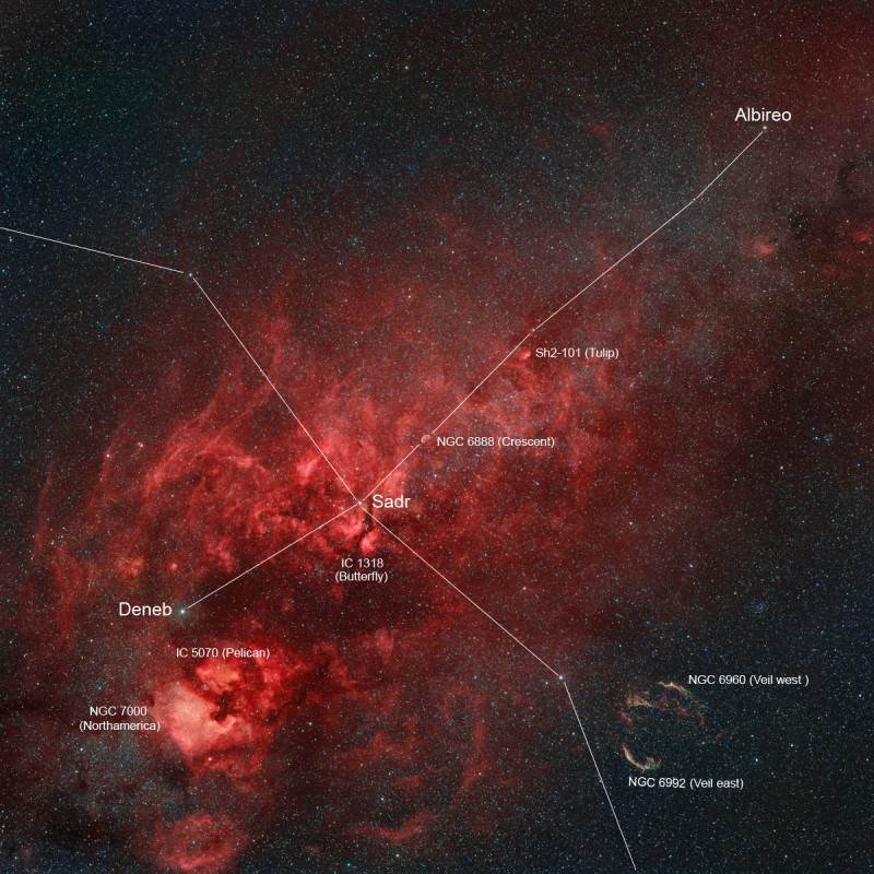 See Explanation. Moving the cursor over the image will bring up an annotated version. Clicking on the image will bring up the highest resolution version available.