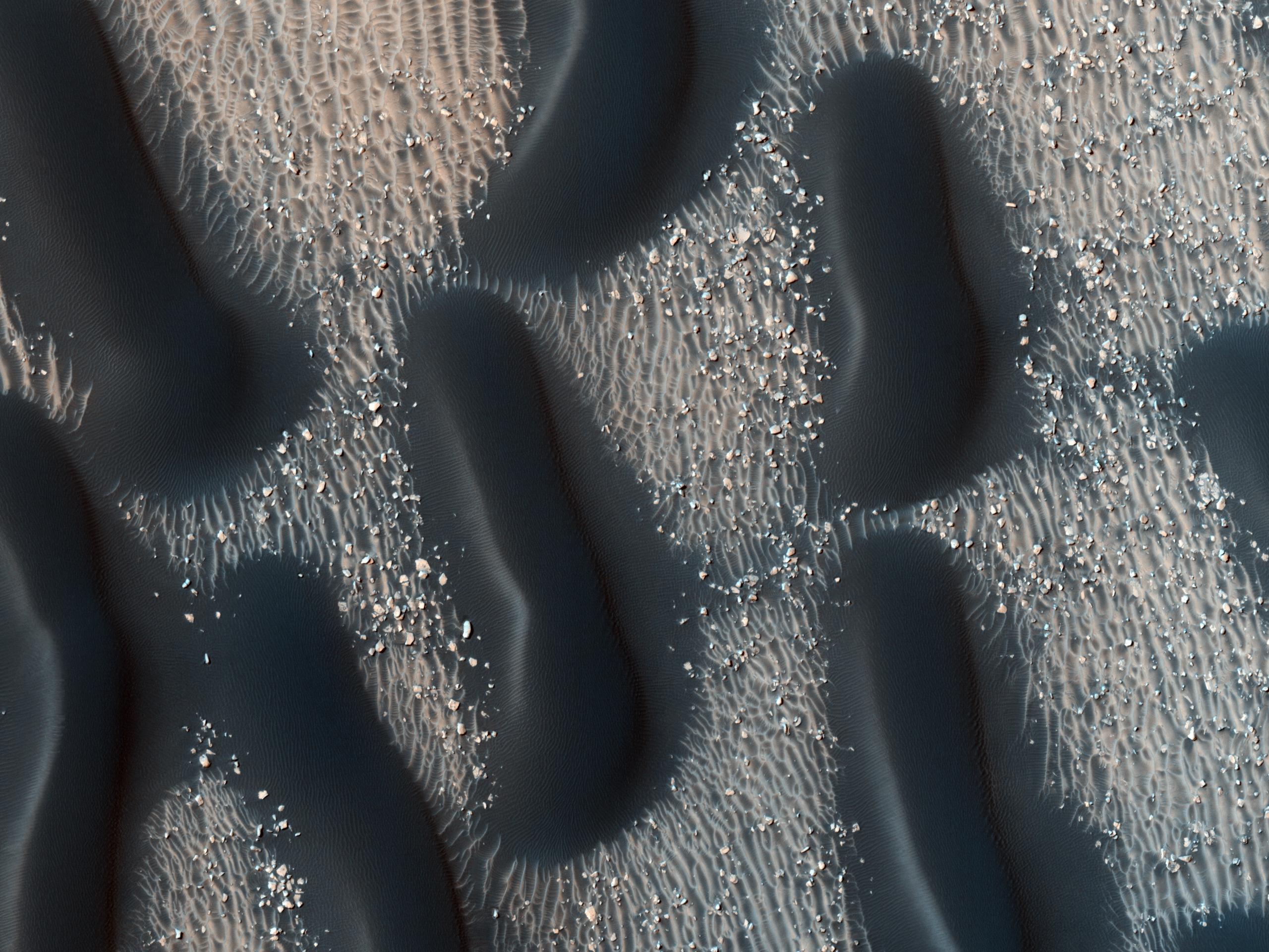 APOD: 2010 November 22 – A Dark Dune Field in Proctor Crater on Mars