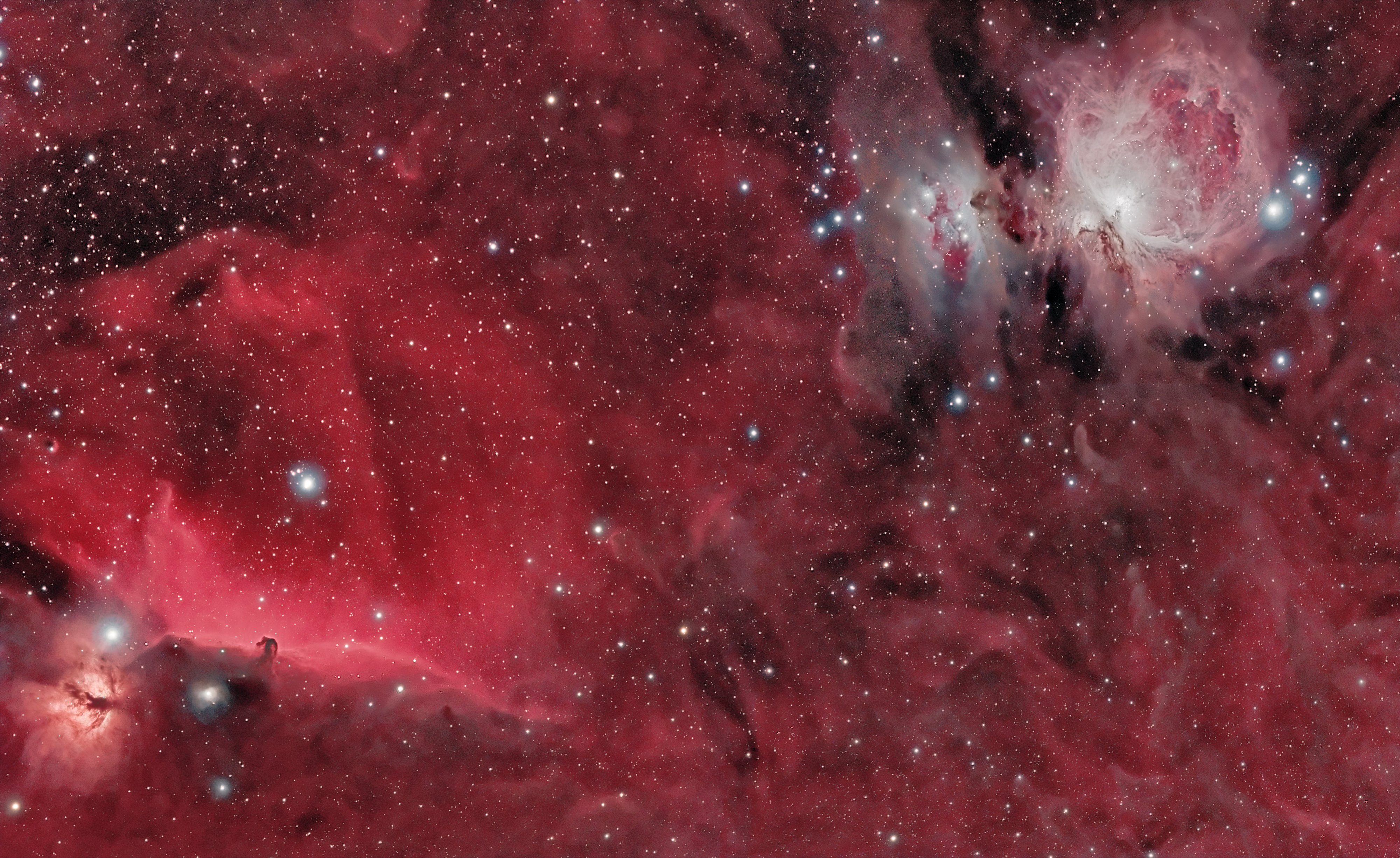 APOD: 2010 October 5 – Horsehead and Orion Nebulas