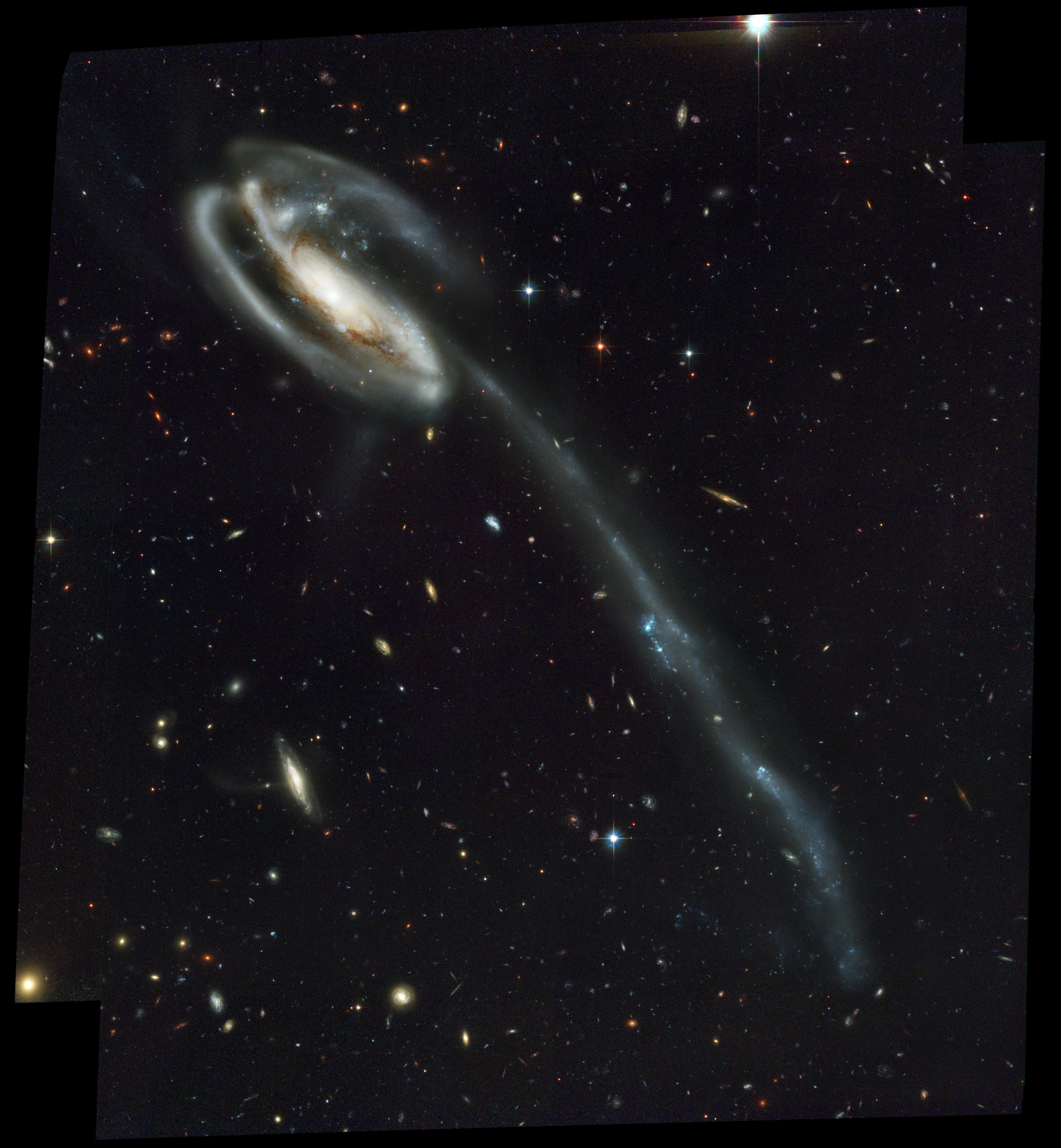 APOD: 2010 September 26 – Arp 188 and the Tadpoles Tidal Tail