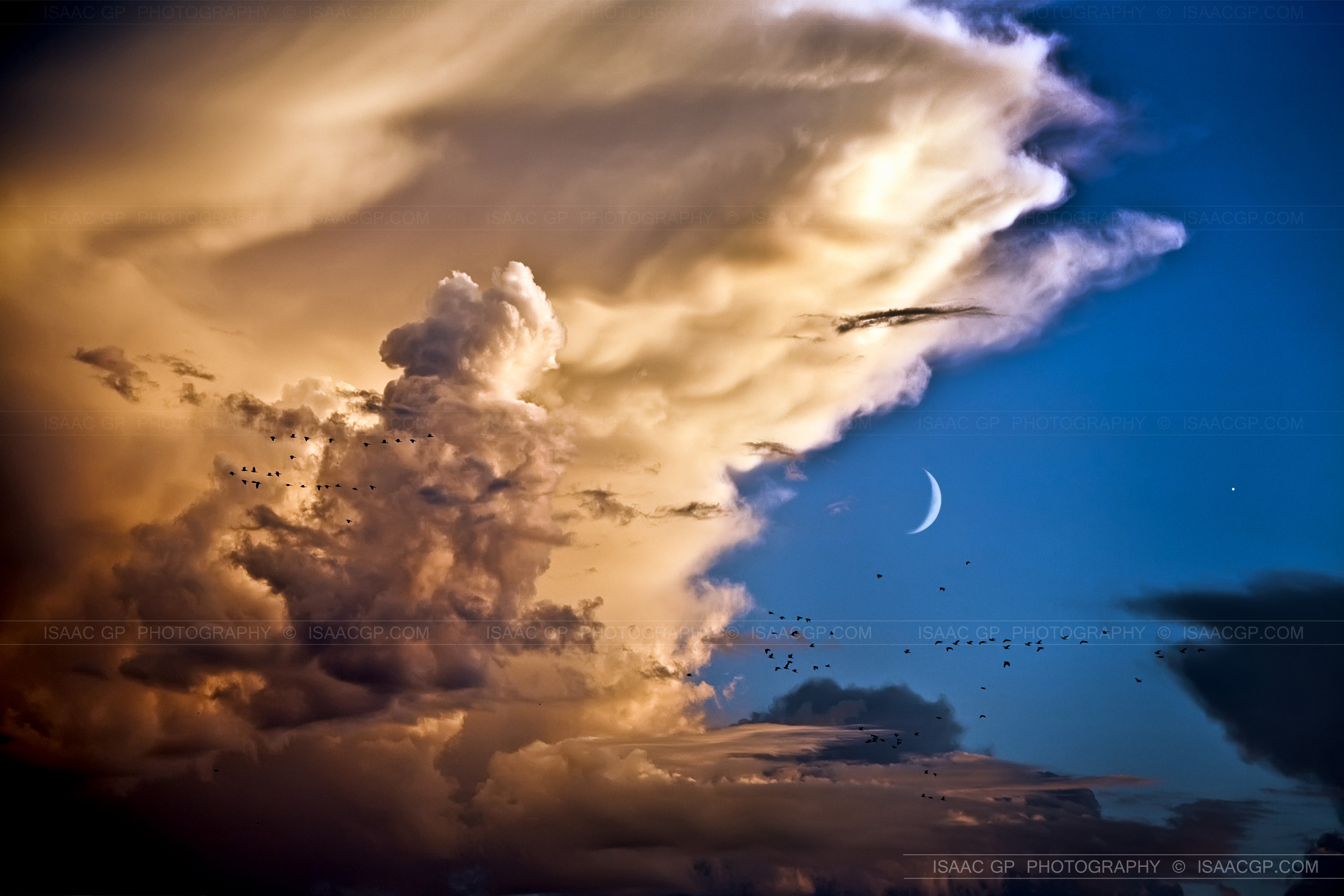 APOD: 2010 September 15 – Clouds, Birds, Moon, Venus